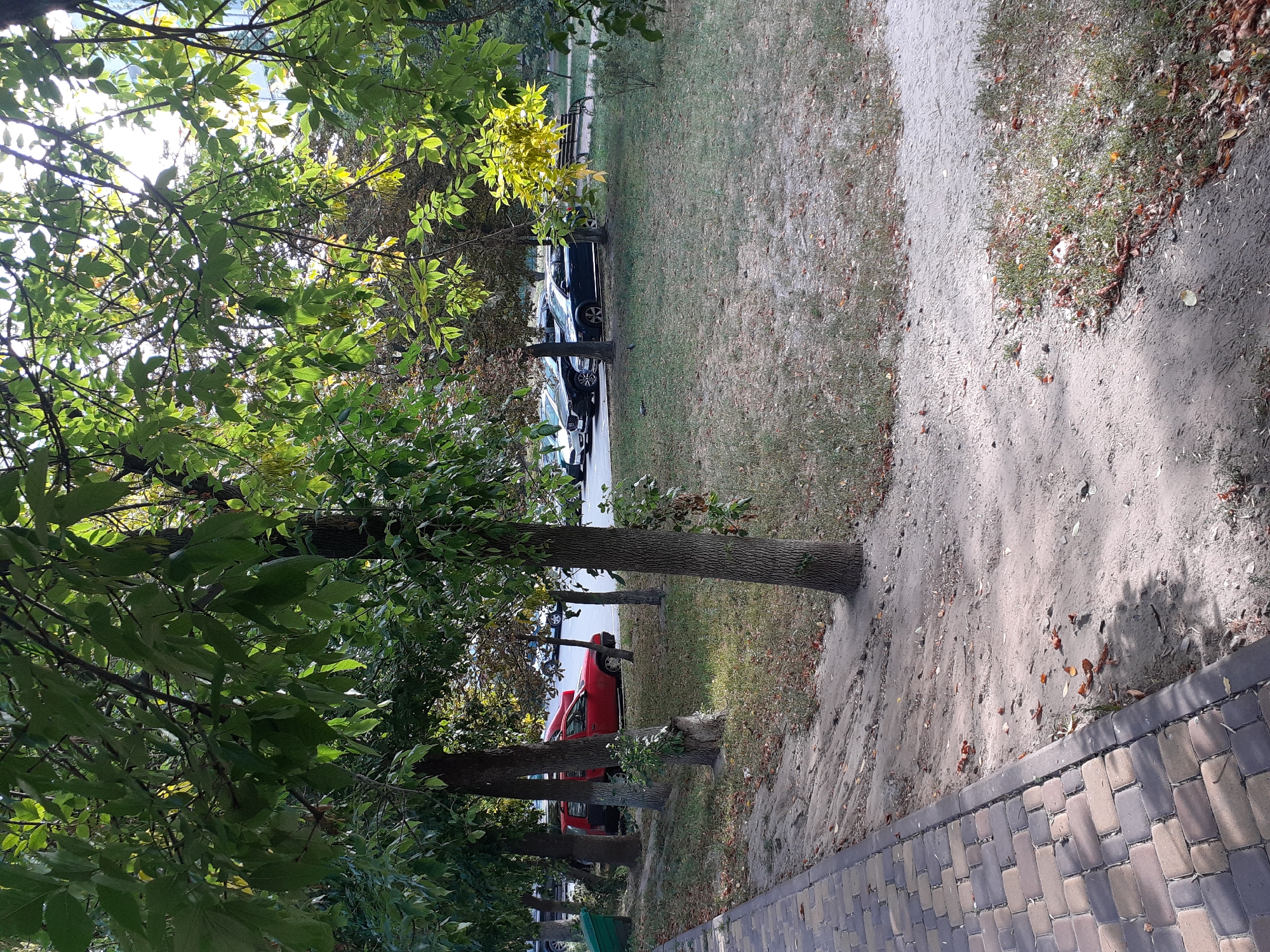 The image depicts a park area in Obukhiv, Ukraine, characterized by trees, a paved walkway, and several parked cars. The walkway, constructed with interlocking bricks in shades of gray and beige, runs along the left side of the frame, curving slightly into the scene. Adjacent to the walkway is a strip of dirt and sparse, dry grass, scattered with fallen leaves.
Several trees with textured bark and leafy canopies are interspersed throughout the park. Some trees are bare-branched at the bottom, while others have foliage extending closer to the ground. Sunlight filters through the leaves, casting dappled shadows on the ground.
In the middle ground, a red car is parked near the trees, with other cars, including what appear to be dark sedans and SUVs, visible further back in a designated parking area. The ground in the park is covered with a mix of dry grass, dirt, and fallen leaves, suggesting an autumn or late summer season. In the background, more trees and possibly buildings can be discerned through the foliage. There are no people visible in the image.