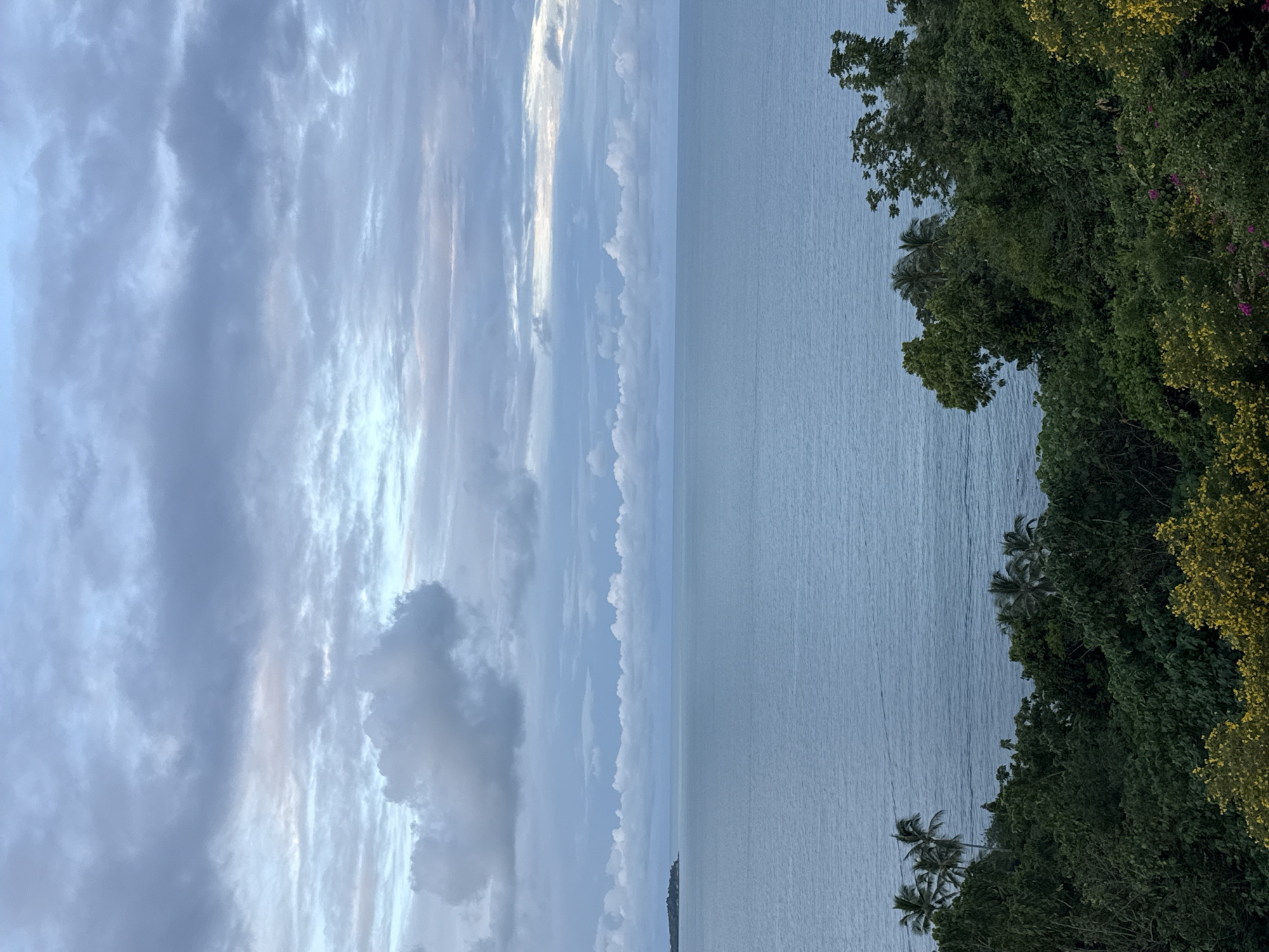 The image shows a panoramic view of the sea and sky from a vegetated viewpoint in Ko Samui District, Thailand. The foreground is dominated by lush green foliage, with some trees bearing yellow flowers. The middle ground consists of a calm, blue sea. In the distance, a small island can be seen to the left, and the horizon is lined with clouds in varying shades of gray and white, suggesting an overcast or approaching weather system. There are no people or discernible structures visible in the scene.