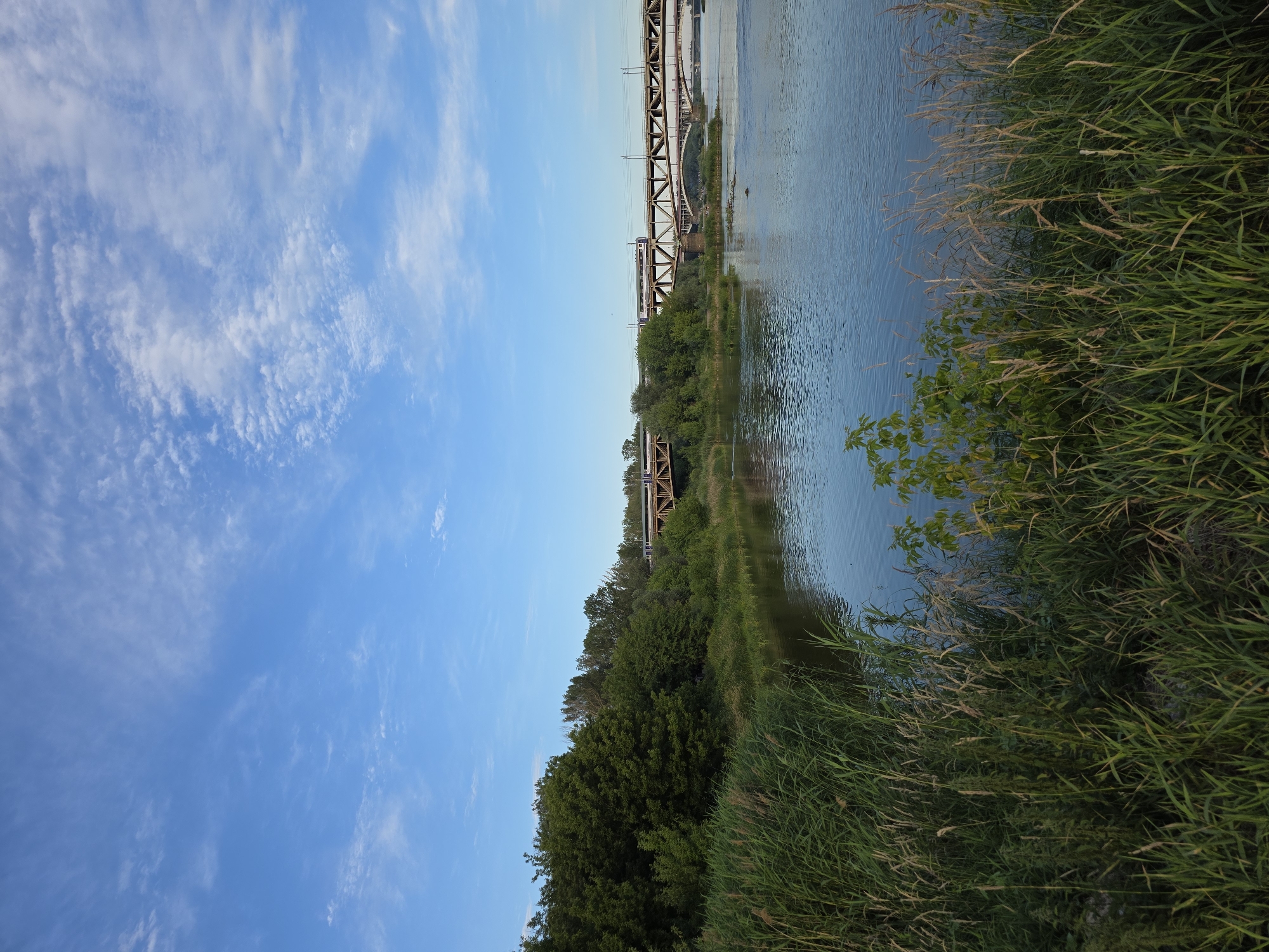 This is a landscape photograph taken in Warsaw, Poland. The image depicts a wide river flowing through a green, natural area with lush vegetation on the banks. In the background, a train is crossing a series of bridges that span the river. The sky is blue with scattered white clouds, suggesting a clear day. The foreground features tall reeds and grasses growing along the river's edge.