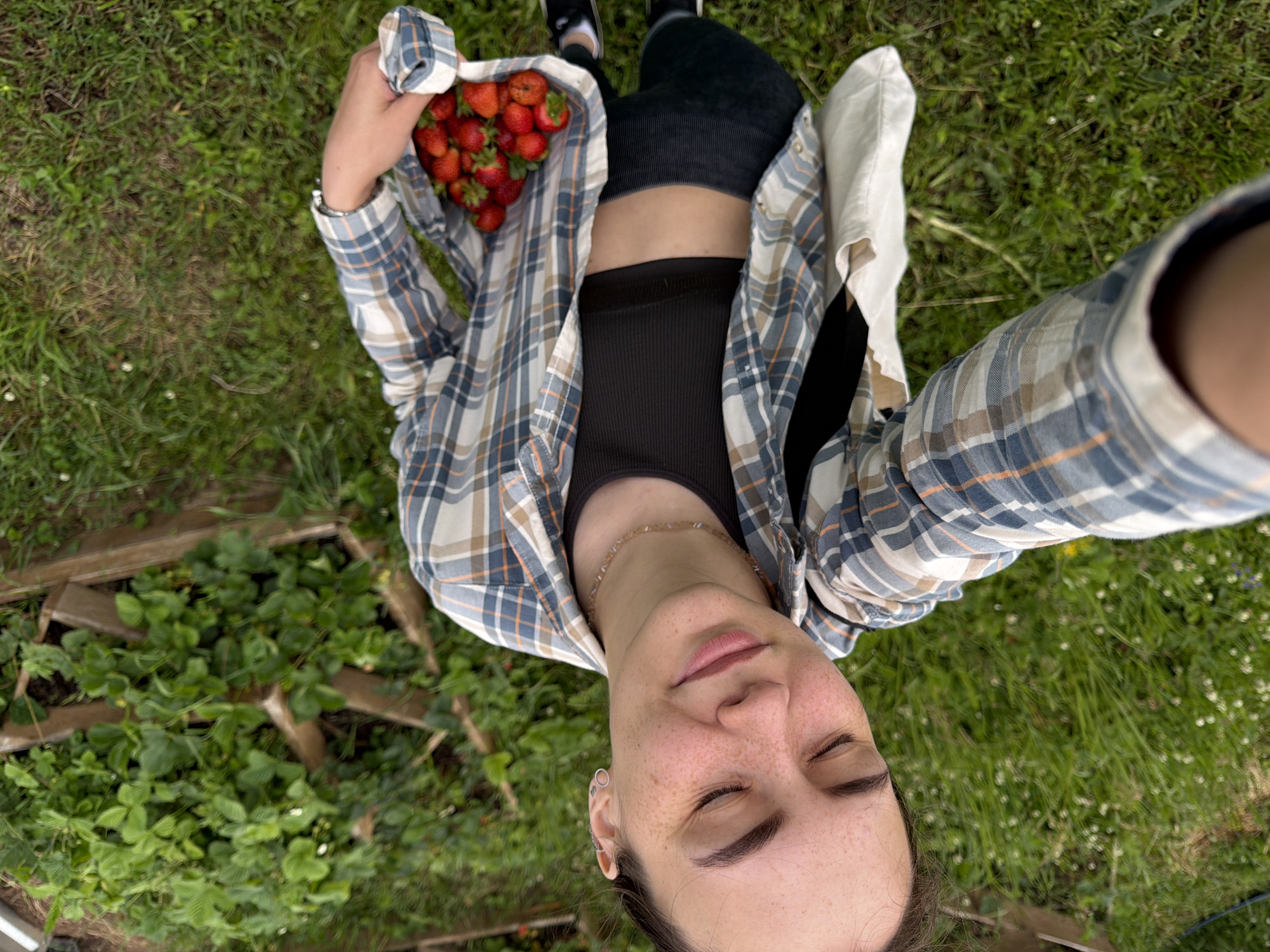 The image is a high-angle, first-person perspective shot taken outdoors, likely in a garden or rural setting, as indicated by the presence of strawberry plants and a grassy area with small white flowers. The subject, a young woman with freckles on her face, is wearing a plaid shirt over a black tank top and dark leggings. She is holding a white bag filled with fresh strawberries. Her eyes are closed, and she appears relaxed. The background shows wooden garden beds and more greenery. The specific location in Chaikovsky, Russia, is not identifiable from the visual information provided in the image.