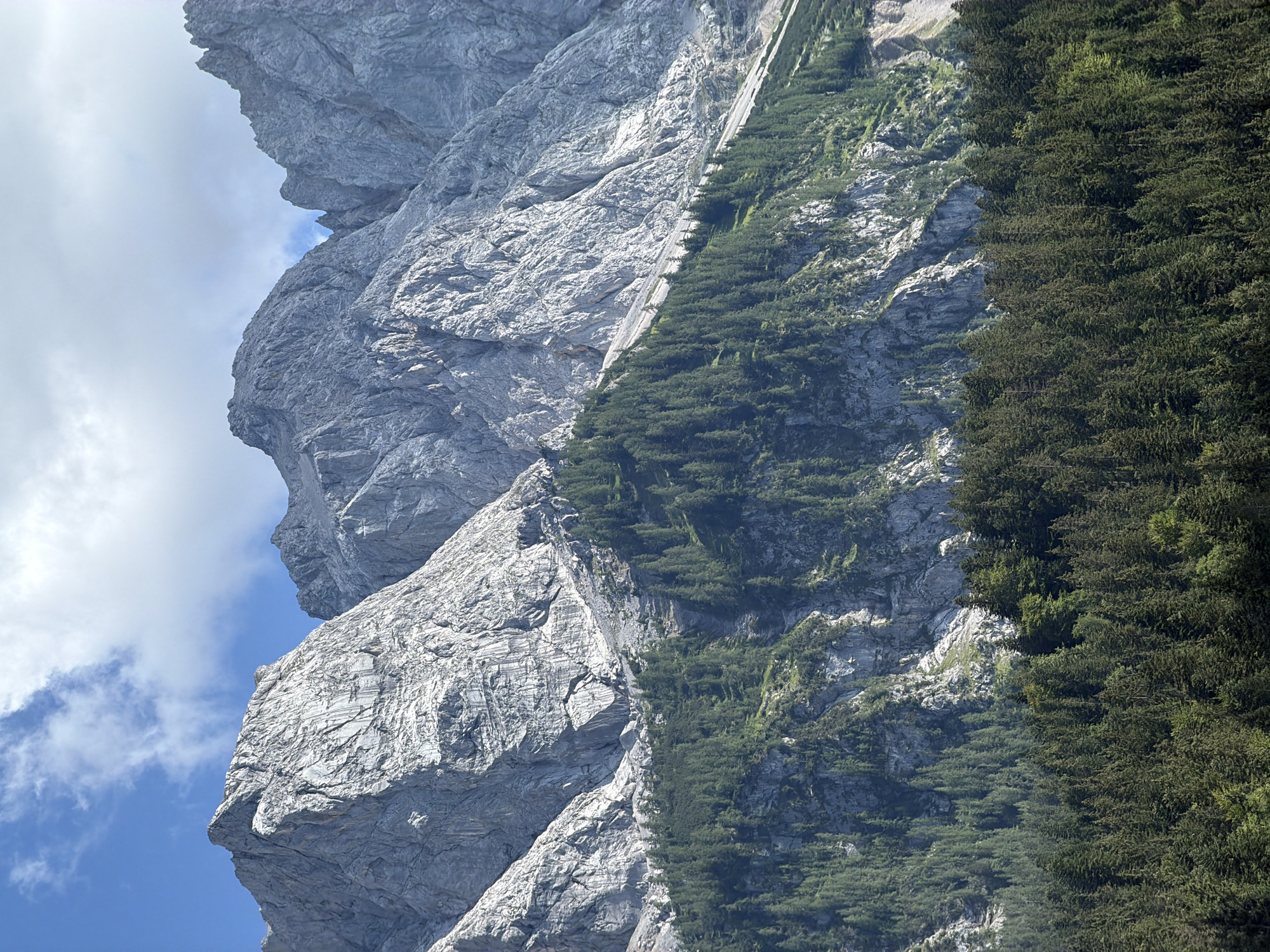 This is a photograph of a mountainous landscape in Grainau, Germany. The image features a dramatic series of jagged, grey rock faces that dominate the upper portion of the frame. These mountains show signs of erosion and weathering, with visible striations and rocky scree slopes. Below the rocky peaks, a dense coniferous forest stretches across the midground and foreground. The trees are primarily evergreen, with varying shades of dark green, creating a textured carpet against the stark grey of the mountains. The sky above is a bright blue with scattered white clouds, some of which are wispy and translucent, while others appear more substantial. The lighting suggests it is daytime, likely late morning or early afternoon, with sunlight illuminating the mountain faces and casting shadows within the forest. There are no people or man-made structures visible in the scene, emphasizing the natural and wild character of the environment. The overall impression is one of rugged natural beauty and the grandeur of the alpine landscape.