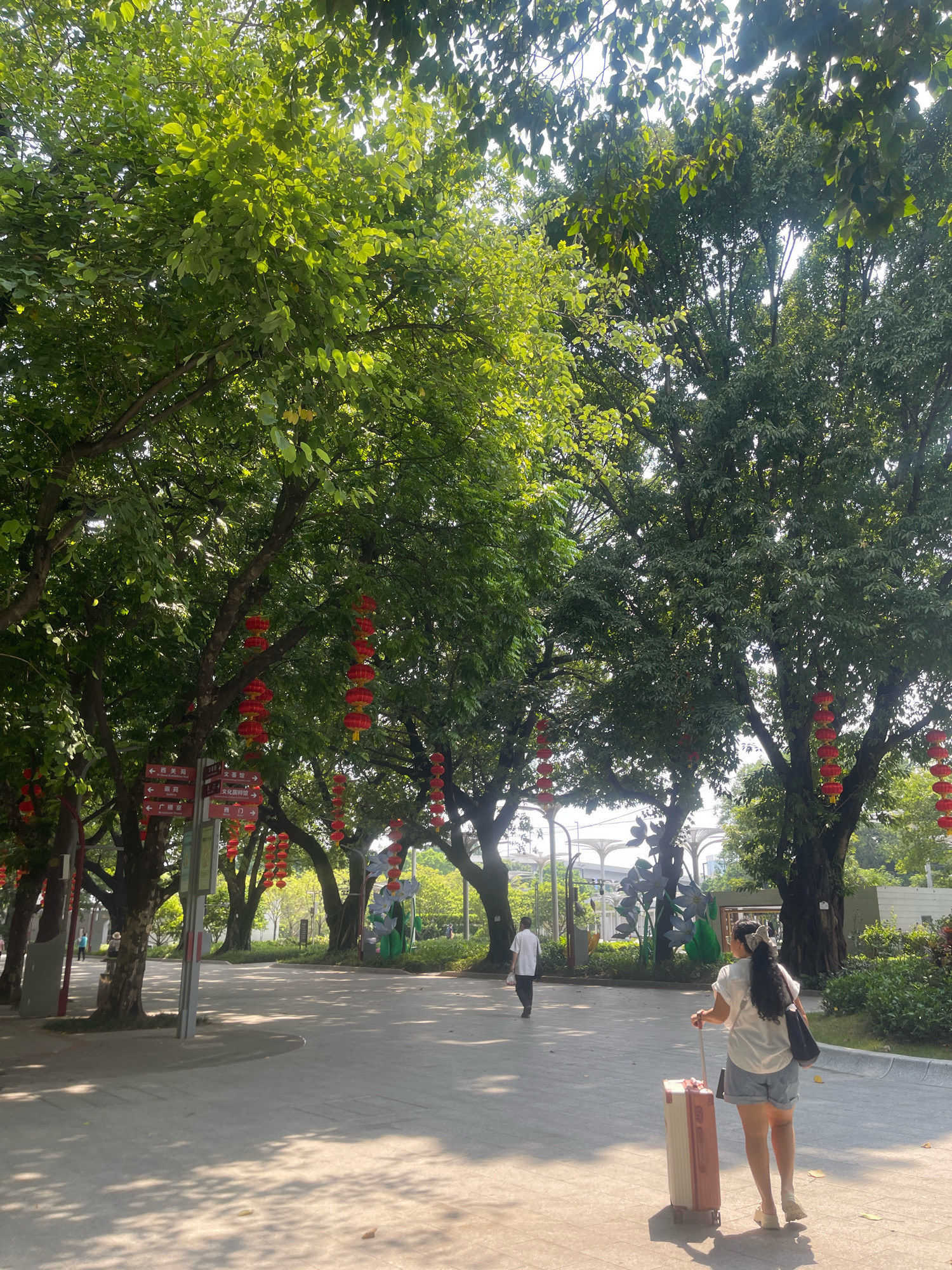 The image depicts a pathway in a park-like setting, possibly a tourist attraction, in Liwan District, China. Tall trees with lush green foliage line the path, casting dappled shadows on the ground. Red lanterns are suspended from the branches of several trees, suggesting a festive occasion or cultural decoration. In the foreground, a woman with dark, curly hair tied up with a bow walks away from the camera, pulling a pink and white suitcase. She is wearing a white short-sleeved shirt and light blue denim shorts. To her left, further down the path, a man in a white shirt and dark pants walks away from the camera. In the background, there are glimpses of white architectural structures with arched elements and green shrubbery. The lighting suggests it is a bright, sunny day.