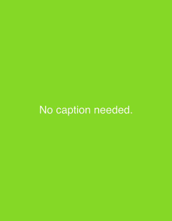 The image is a solid bright green background with the text "No caption needed." centered horizontally. There are no people, subjects, objects, or actions depicted. The location in Yambol, Bulgaria, is not evident from the image.