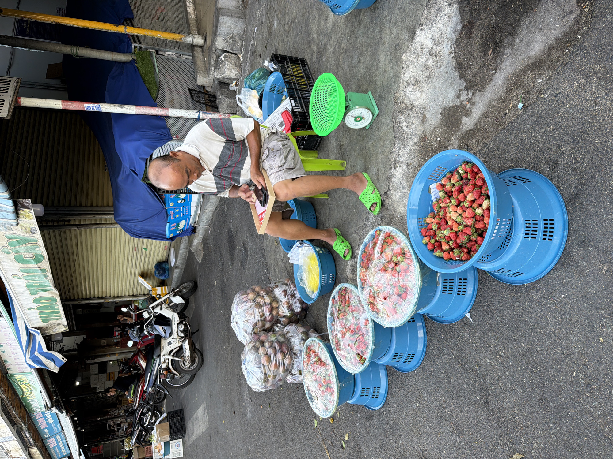 In Nha Trang, Vietnam, a man sits on a bright green plastic stool on a paved street, tending to a mobile fruit stand. He is dressed in a striped polo shirt and cargo shorts, with bright green flip-flops on his feet. His focus is on a small electronic device he holds in his hands, resting on a wooden tray. Surrounding him, the street is lined with various fruits displayed for sale. Large, clear plastic-wrapped bundles of what appear to be passion fruit or a similar fruit are stacked high behind him. In front, several blue plastic baskets are tiered, filled with a vibrant assortment of strawberries, some covered with plastic wrap and others exposed. A green mechanical scale sits on the ground to his right, ready for weighing produce. In the background, motorcycles are parked near market stalls with rolled-down metal shutters, suggesting a busy marketplace setting. The overall scene depicts a typical street-side vendor operation in a Vietnamese city, characterized by fresh produce and the daily hustle of commerce.