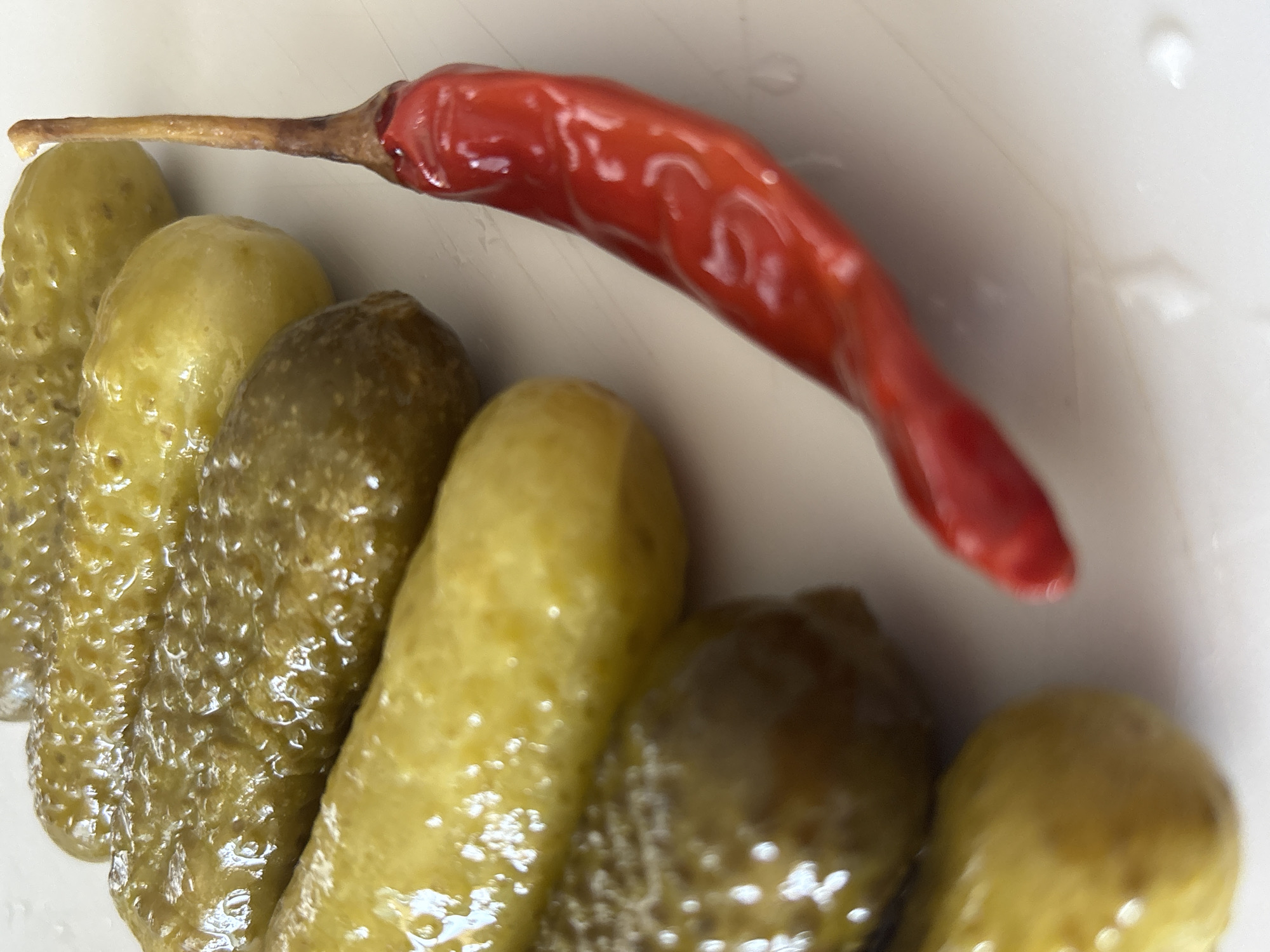 This is a close-up, high-angle shot of a small, dried red chili pepper lying across a row of dill pickles. The pickles are arranged diagonally from the bottom left to the top right of the frame, with their bumpy surfaces glistening in what appears to be a liquid, likely brine. The chili pepper is a vibrant red and has a wrinkled, dried texture. Its stem is visible, extending from the left side of the frame and pointing towards the top. The background is a plain white surface, possibly a bowl or plate. The lighting is bright, creating highlights on the pickles and the chili pepper. There are no people or specific location cues visible in the image, beyond the information that the location context is Sochi, Russia. The overall impression is a still life arrangement of food items.