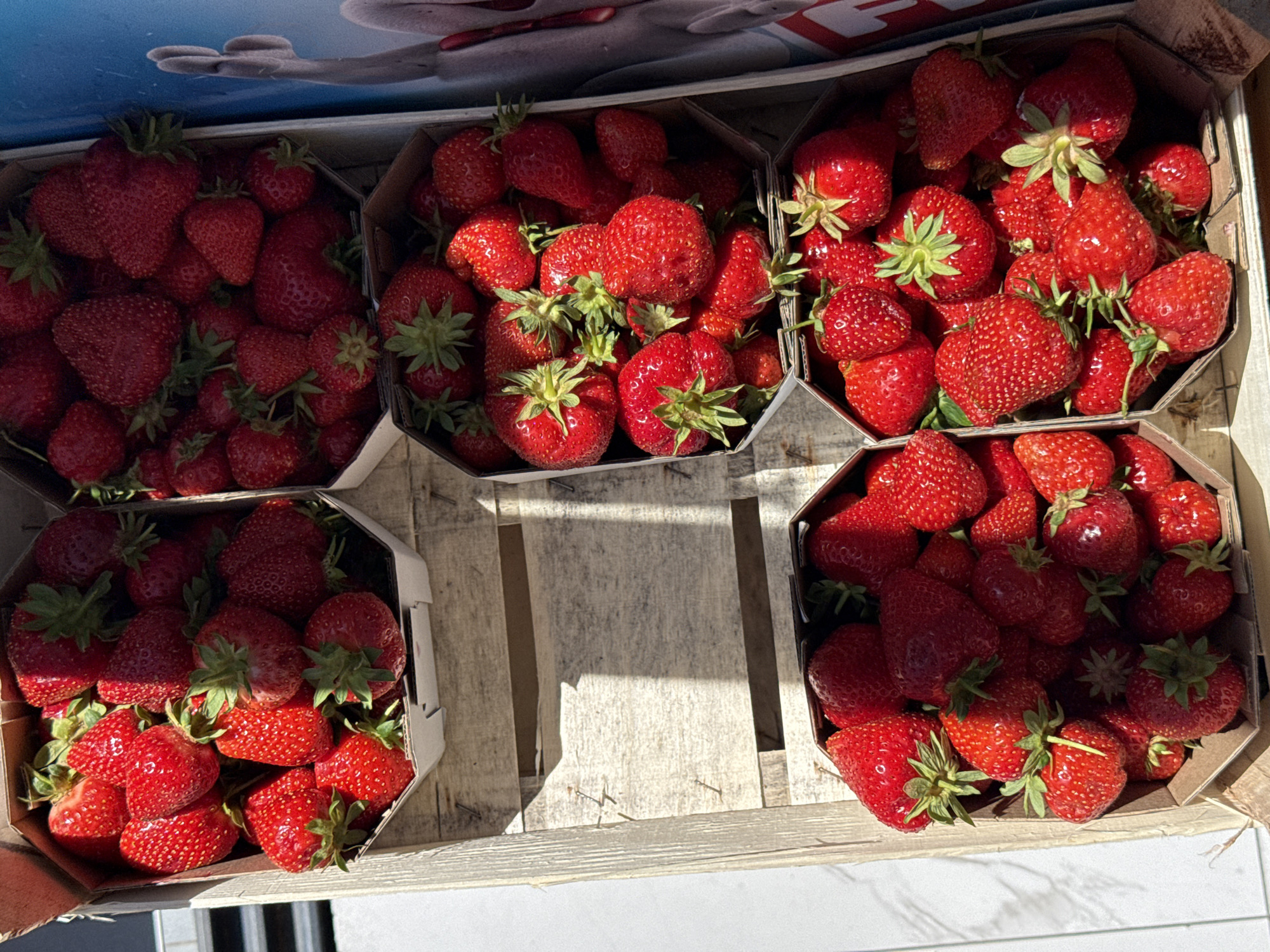 A close-up, top-down shot showcases four open cardboard boxes overflowing with ripe, red strawberries, neatly arranged within a weathered, light-colored wooden crate. The crate, positioned outdoors, is bathed in bright sunlight, casting distinct shadows across its wooden slats. The strawberries are plump and glossy, with visible seeds and green leafy stems. One box is partially obscured by a blue object with a white, cartoonish figure on it, possibly a cooler or signage, visible on the right side of the frame. The background reveals hints of a white surface and the texture of the wooden crate. The image appears to be taken on a sunny day in a market or roadside stall, likely in Budva, Montenegro, given the hint provided, though no specific landmarks are identifiable within the frame.