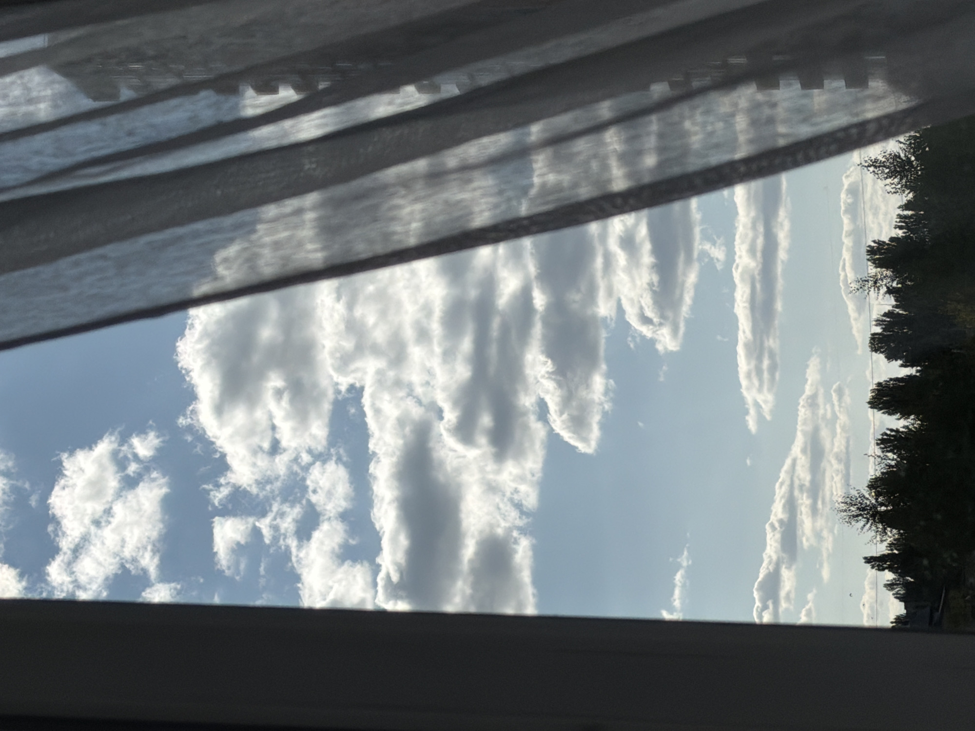 A vertical, eye-level shot captures a view through a window, with a dark grey curtain on the right side partially obscuring the scene. The sky is a bright blue, dotted with fluffy white clouds, some of which are illuminated by sunlight. The bottom of the frame reveals a dark line of trees, possibly an urban forest, against the lower horizon. A faint hint of a building structure is visible behind the translucent curtain on the right. The overall impression is of a bright, daytime scene viewed from indoors. There is no indication of the specific location within the city of Kyiv, Ukraine.