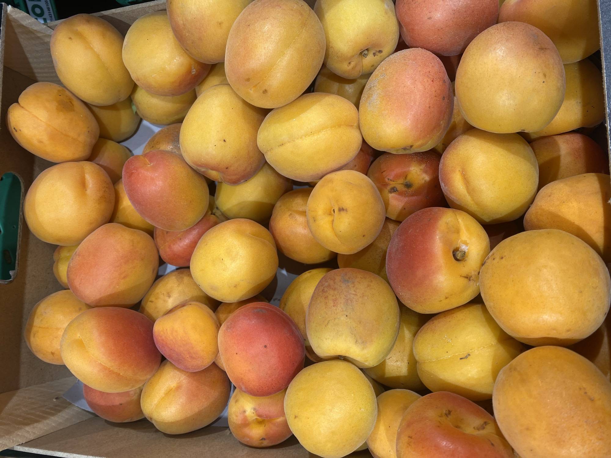 The image shows a close-up view of a cardboard box filled with ripe apricots. The apricots are round to oval in shape, with smooth skin that ranges in color from bright yellow to orange and red blush. They are densely packed in the box, with some overlapping. The background is the interior of a cardboard box, with visible brown corrugated material. There are no people or any other objects besides the apricots visible in the image. The scene is indoors, likely a market stall or grocery store. The city of Bel Air, Spain is not visible in the image.