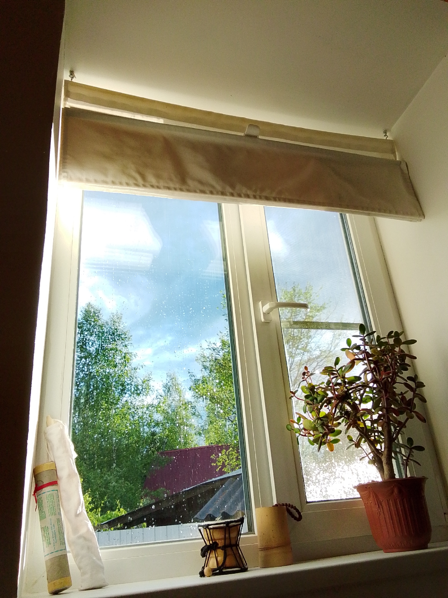 The image shows a window with a light-colored roller shade partially drawn. Outside, the view features green trees, a red and dark-colored roof. The window itself has condensation on the glass. On the windowsill, from left to right, is a rolled-up item with wrapping, a white cloth, a small drum, a bamboo cup and a potted plant with reddish stems and green leaves. It's daytime with bright light streaming in, possibly in 1-Go Maya, Russia given the trees and architecture visible through the window.