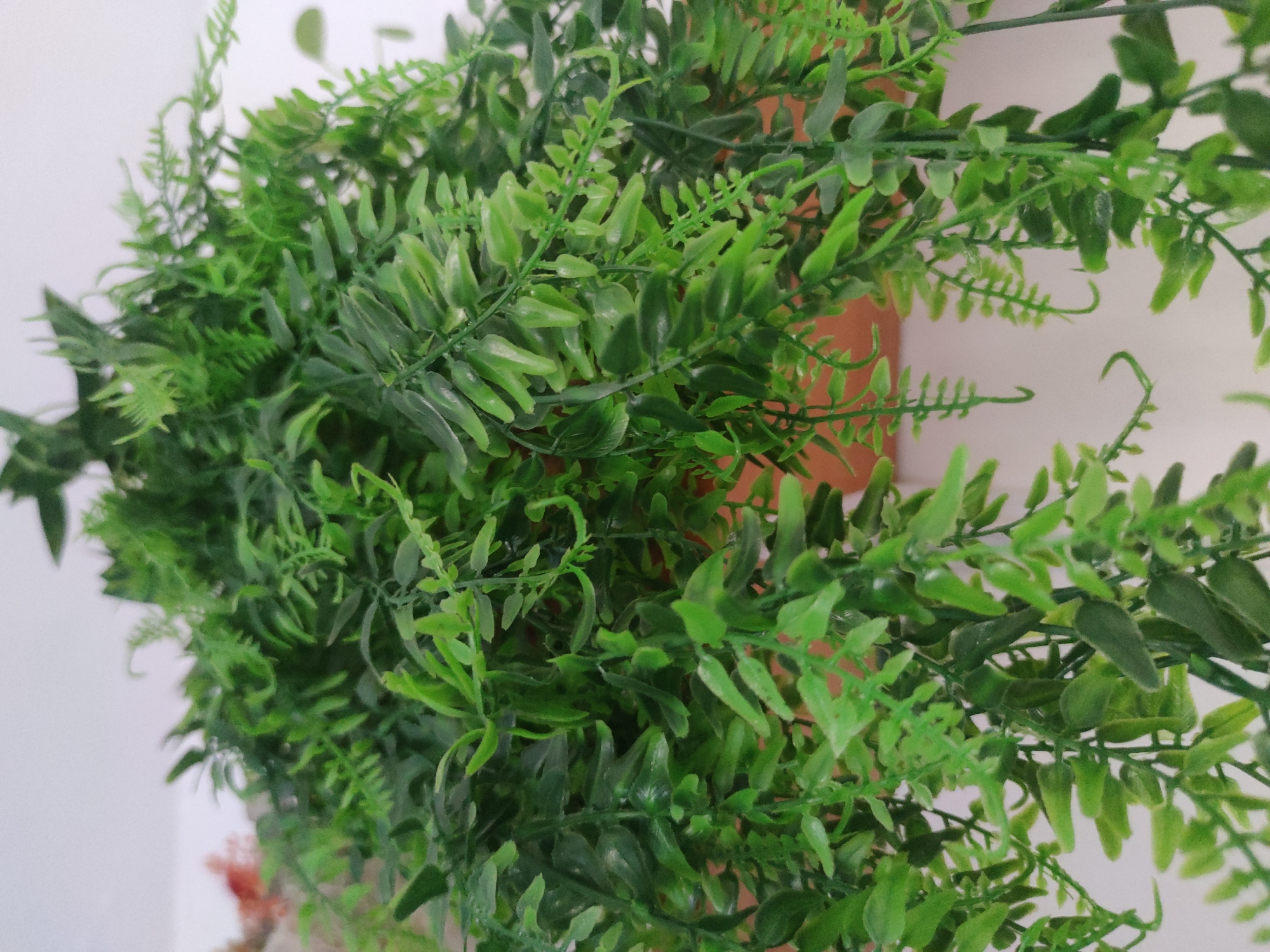 A close-up shot shows a dense arrangement of artificial green fern-like foliage. The plants are positioned against a light-colored wall. Patches of a brown cylindrical object (likely a pot) are visible behind the leaves. The scene has no people, subjects, or actions. The environment is indoors. There are no indications of it being located in Barcelona, Spain.