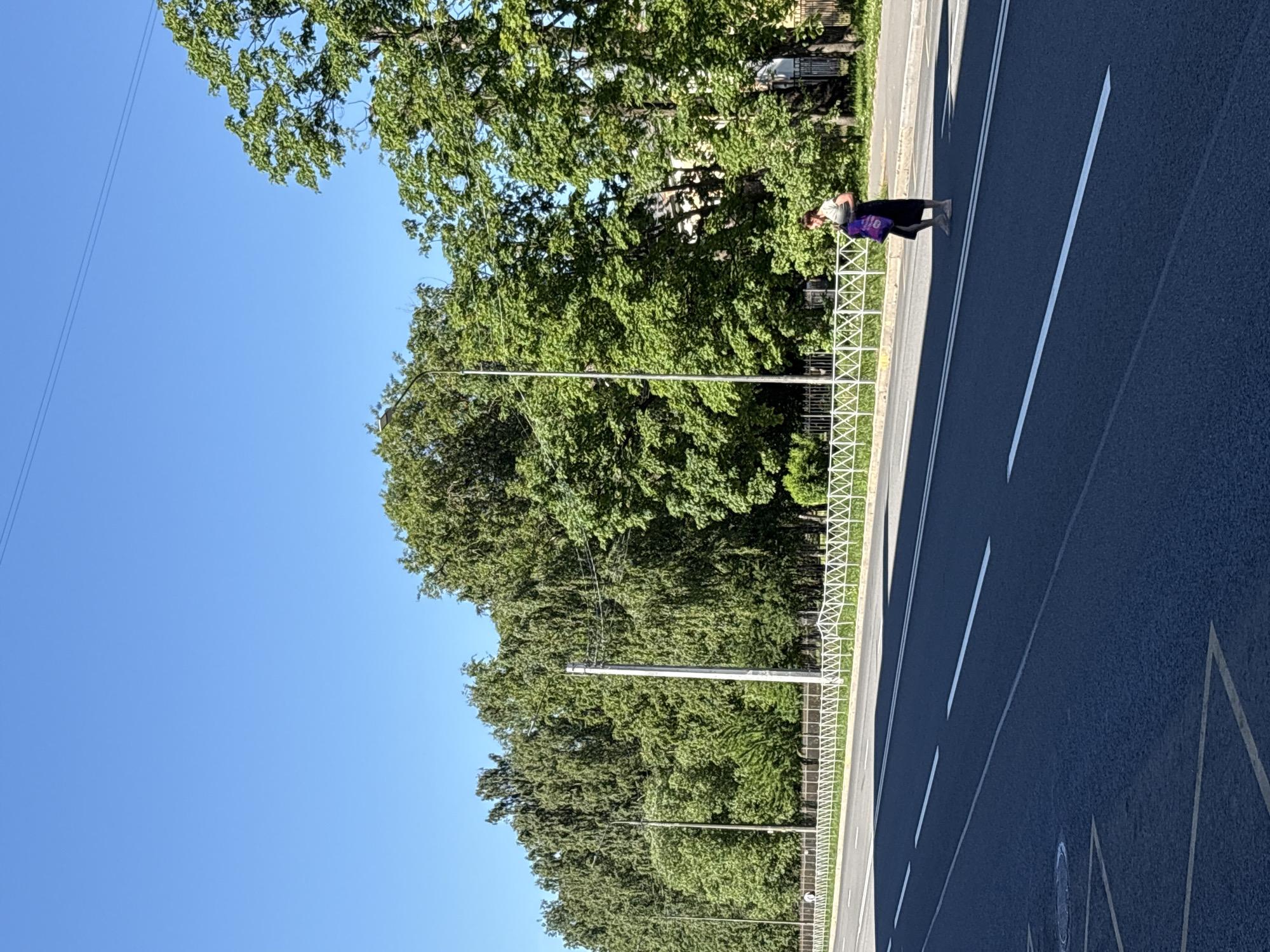 The image displays an outdoor urban scene in Saint Petersburg, Russia, under a clear, bright blue sky, indicating fair weather and strong daylight, likely late morning or early afternoon given the prominent shadows.
The foreground is dominated by a wide, dark asphalt road featuring white solid and dashed lane markings. A circular manhole cover is visible on the road surface in the lower-left quadrant. Strong shadows extend from left to right across the road, originating from unseen elements to the left.
The road is bordered on the right by a concrete curb, which separates it from a paved pedestrian sidewalk. Along the inner edge of the sidewalk, a continuous white metal fence with a distinct criss-cross (X-shaped) pattern runs horizontally across the mid-ground. Beyond this fence is a broad, lush green strip densely populated with tall, mature deciduous trees, including species resembling birches and maples, forming a thick natural screen. Through and above the trees on the far right, light-colored, multi-story buildings of urban architecture are partially visible.
Overhead, multiple thin utility lines stretch across the blue sky. These lines are supported by utility poles, including a slender, dark-colored lamppost with a curved arm visible on the left, and a thicker, light-colored concrete utility pole positioned towards the center-left.
A single person, a woman, is captured walking on the sidewalk in the mid-ground, moving from right to left. She has dark hair, is wearing a light-colored short-sleeved top and a dark, midi-length skirt. She appears to be barefoot or wearing very subtle footwear and is carrying a bright purple reusable shopping bag or tote bag in her left hand, held at her side.
The scene is typical of many wide avenues and boulevards in Saint Petersburg, characterized by extensive green spaces and patterned public fencing, though a precise street identification is not possible from the provided visual information alone.