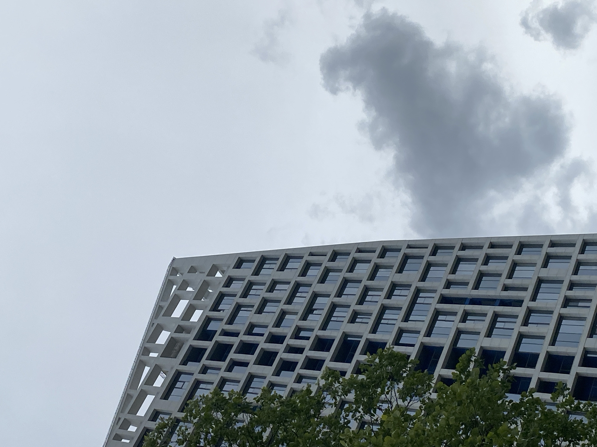 The image shows a modern building with a unique, geometric facade made of concrete and glass. The building's exterior features a repeating pattern of recessed windows and open squares, creating a distinctive honeycomb-like effect. The facade is angled, suggesting it is part of a larger structure or a unique architectural design. Below the building, lush green foliage from trees is visible, partially obscuring the lower levels of the structure. The sky above is overcast with large, dark grey clouds, indicating a cloudy or possibly stormy day. The lighting is diffused and soft, typical of an overcast sky, with no strong shadows. The overall scene is an urban landscape, with the focus on the architectural details of the building against a muted sky and foreground greenery. No people are visible in the image. The image appears to have been taken during the daytime, with the weather being a significant element contributing to the subdued atmosphere. While the specific location is not evident from the visual elements alone, the provided context places it in Izhevsk, Russia.