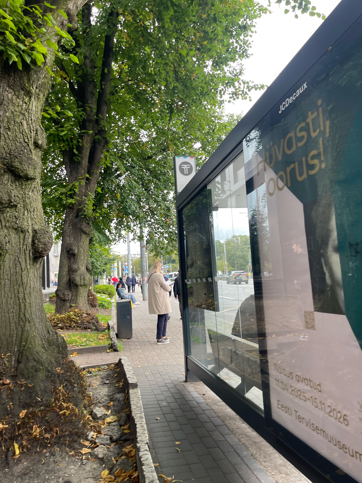The image shows a street scene in Tallinn, Estonia, with a bus stop in the foreground. A glass-enclosed bus stop structure dominates the right side of the frame, featuring an advertisement with Estonian text. The advertisement mentions "JCDecaux" and dates "11.04.2025-15.11.2026", along with "Eesti Tervisemuseum". To the left of the bus stop, a sidewalk is visible, with a large tree with textured bark and green foliage. Several people are seen walking and sitting on the sidewalk. One woman in a light-colored coat is standing and looking down at some papers. Another person is seated further down the sidewalk. In the background, cars are driving on a street, and more trees and buildings are visible. The sky is overcast. The ground is paved with grey bricks, and fallen leaves are scattered on the grass and along the edge of the sidewalk.