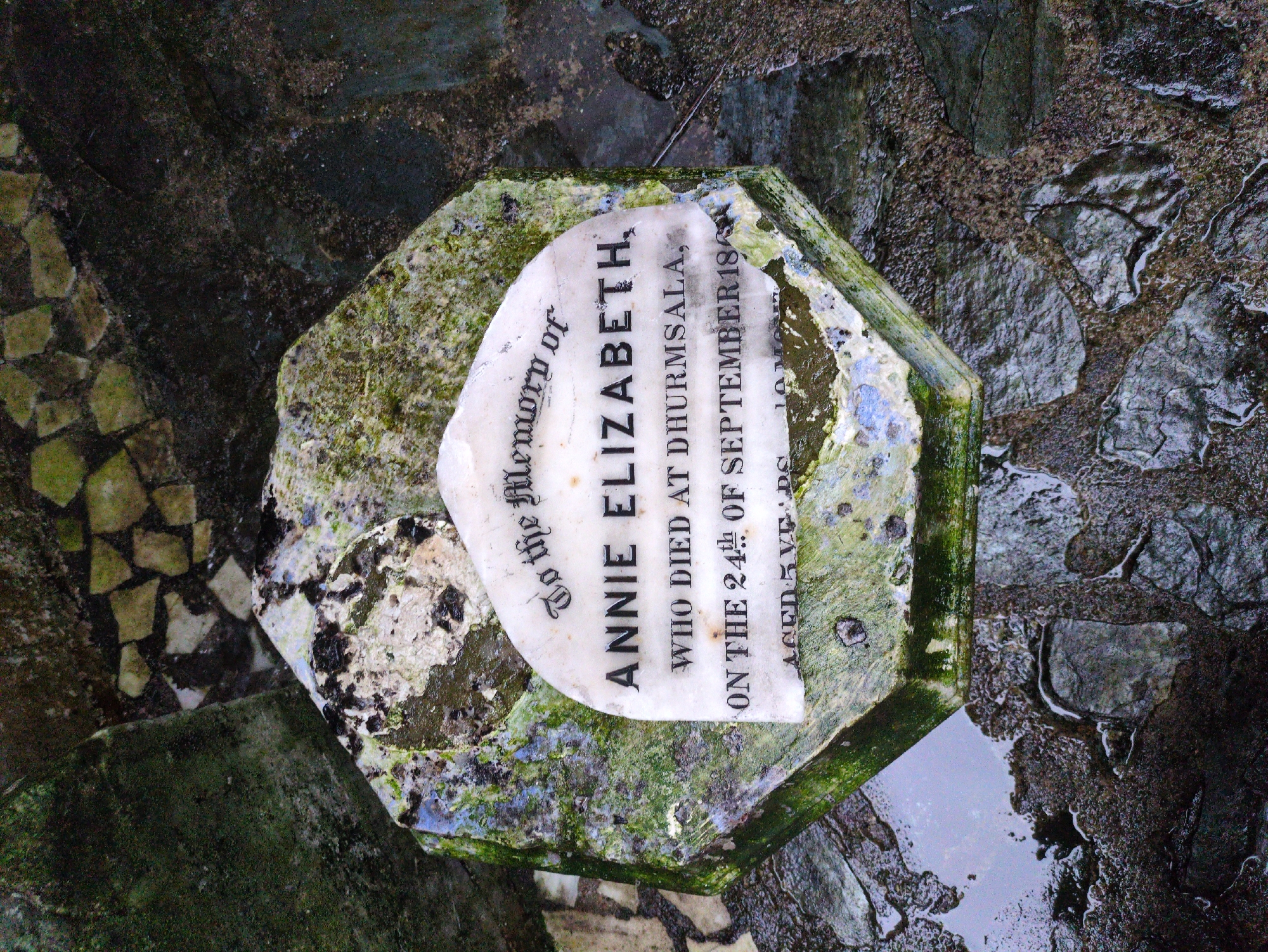 The image shows a close-up, eye-level view of a weathered, octagonal stone marker with an inscription on its surface. The marker is positioned on a rough, dark ground composed of various stones and patches of wetness or shallow puddles, suggesting an outdoor environment, possibly a graveyard or historical site. The stone marker itself is white with black lettering and appears to be partially covered in moss and grime, indicating age and exposure to the elements.
The inscription on the marker reads:
"To the Memory of
ANNIE ELIZABETH,
WHO DIED AT DHURMSALA,
ON THE 24th OF SEPTEMBER 1860
AGED 5 YEARS 10 MONTHS"
The text is clear but slightly faded in places, and the "th" in "24th" has a superscript "h" that is a bit smudged. The "1860" at the end of the date is partially obscured by the grime on the stone. The phrase "AGED 5 YEARS 10 MONTHS" is at the bottom and is also somewhat obscured. The background shows a mosaic of irregular stone shapes and dark, wet surfaces, with moss growing on some of the surrounding stones, contributing to a damp, aged atmosphere. The context suggests this is a memorial, likely a gravestone, located in Dharamshala, India, commemorating a young girl named Annie Elizabeth.
