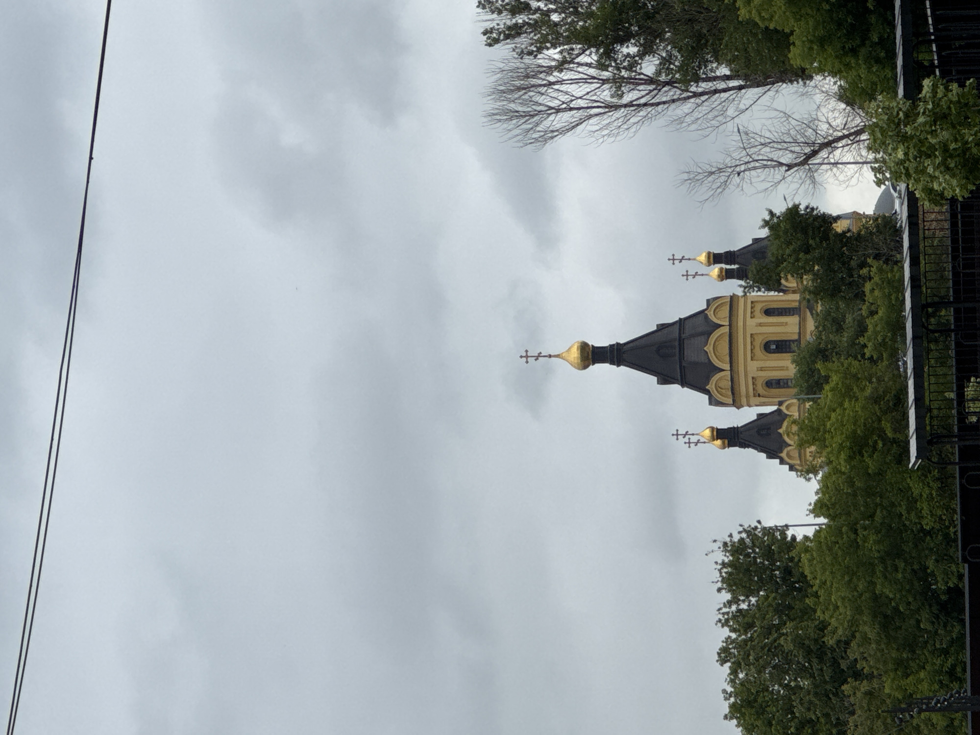 The image shows the Alexander Nevsky Cathedral in Nizhny Novgorod, Russia. The cathedral is a prominent Orthodox church with multiple golden domes topped with crosses. It is surrounded by lush green trees, with a bare-branched tree to the right of the cathedral. The sky is overcast with gray clouds. The bottom of the image shows a black metal fence.