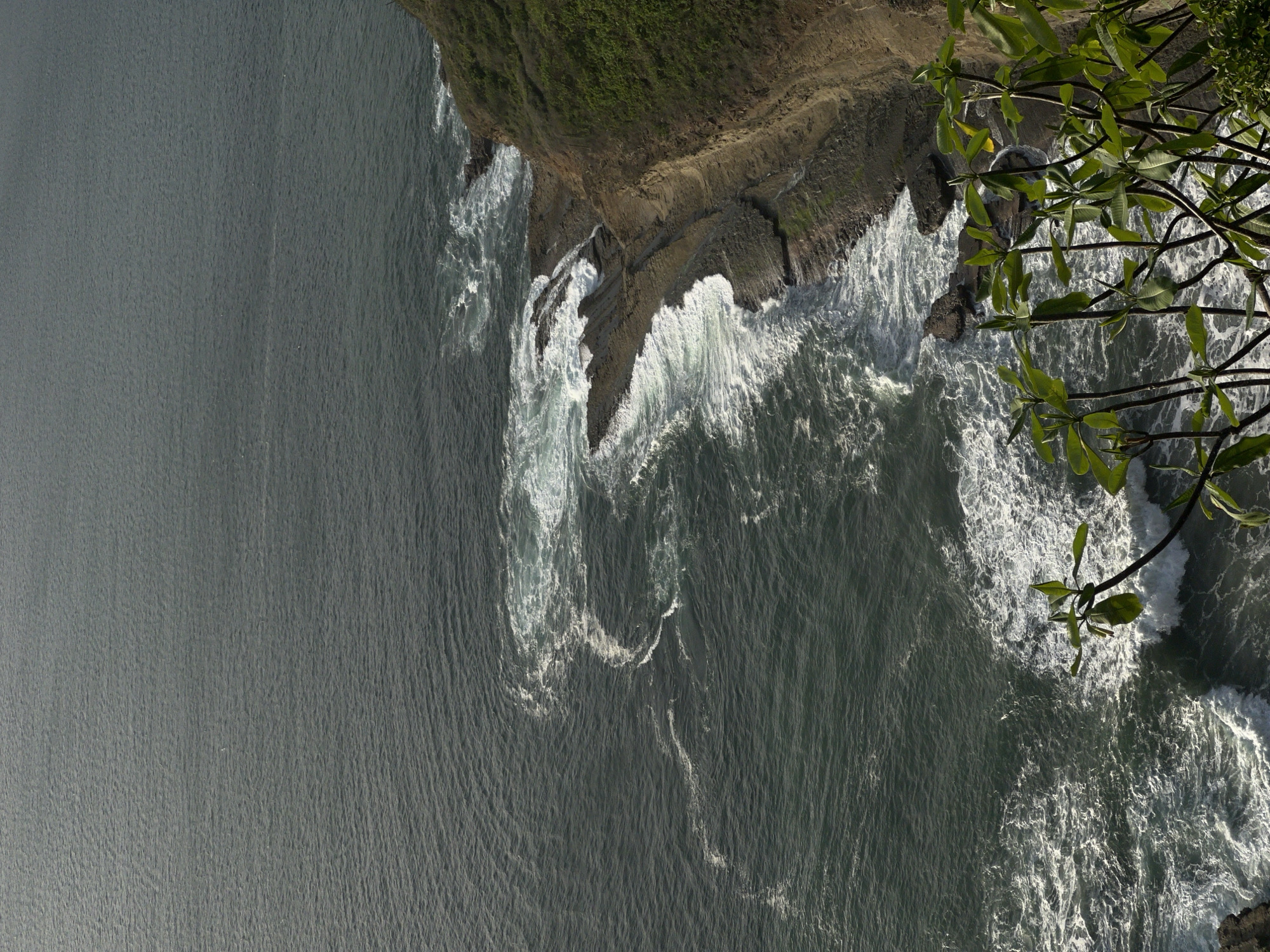 The image shows a coastal cliffside overlooking the Pacific Ocean in San Juan del Sur, Nicaragua. Waves crash against the rocky shore, creating white foam. Lush green vegetation covers the top of the cliff, while the ocean appears dark and choppy. In the foreground, the branches of a leafy plant reach into the frame, obscuring a portion of the view. The scene is captured from a high vantage point, looking down towards the water and the coastline.