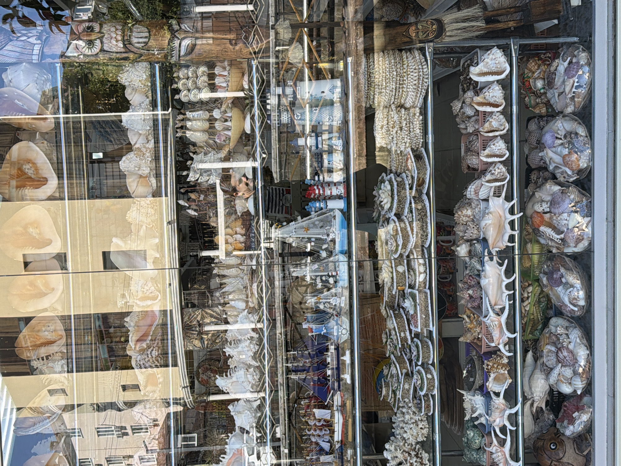 The image displays a shop window filled with various sea-themed souvenirs and decorative items, presented in a portrait orientation (rotated 90 degrees clockwise from an upright view of the objects). The scene is heavily overlaid with reflections from the outdoor environment.
Inside the shop, multiple shelves are packed with merchandise. On the left side, large, polished conch shells and other sizable shells are displayed, predominantly in cream and light brown hues. Towards the center, rows of smaller, intricately arranged shells are visible, some appearing as necklaces or decorative clusters. Several miniature model lighthouses, painted in red-and-white and blue-and-white stripes, are visible on a lower shelf, accompanied by model sailing ships of various sizes and designs. Further to the right, diverse seashells are arranged in clear, circular or oval containers, showcasing a mix of colors and patterns. Below these, larger, spiny conch shells and other unique shell specimens are on display, alongside wooden carvings, including a detailed owl figure.
The prominent reflections layered over the shop interior reveal parts of a multi-story building with numerous windows, suggesting an urban or town setting. Green foliage from trees is also reflected in certain sections. The bright reflections indicate a sunny daytime environment.
The overall impression is a bustling display of tourist merchandise, typical of a coastal area, with the added visual complexity of reflections blending the indoor and outdoor scenes. No discernible text is clearly visible on any of the items or within the reflections.