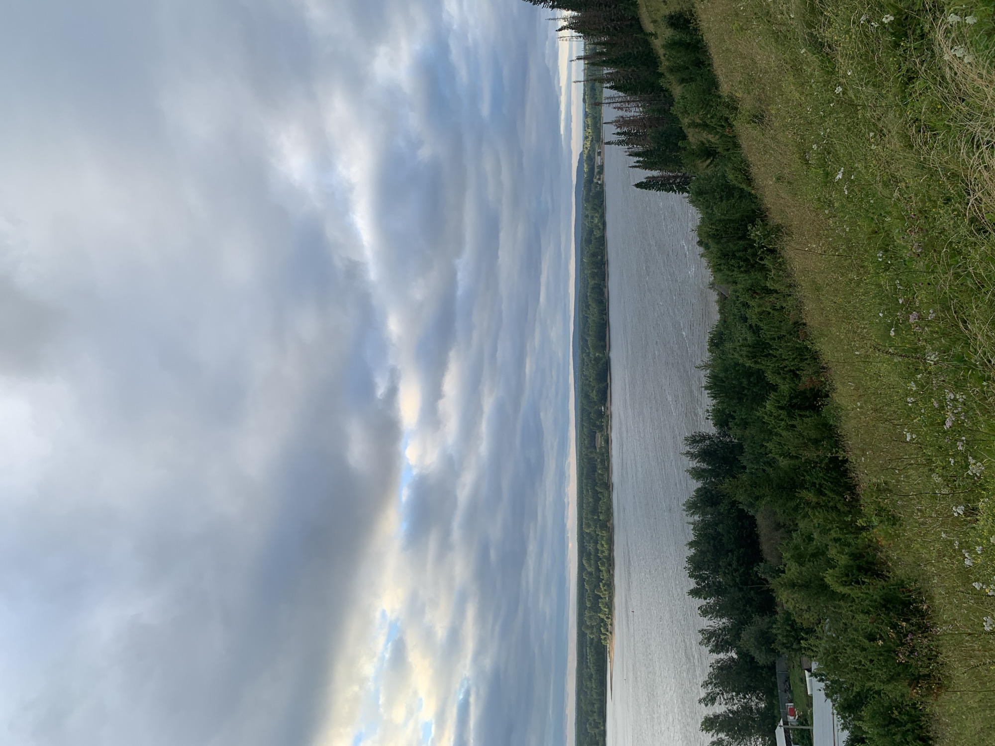 A wide river flows towards the viewer, its surface rippled by a gentle breeze under a cloudy sky. The river is bordered by a dense, dark green forest that stretches across the horizon. In the foreground, a grassy slope dotted with wildflowers rises towards the viewer, with a few scattered evergreen trees on its right side. To the far left of the river, some buildings are visible near the shoreline, suggesting a small settlement. The overall scene depicts a natural landscape with a hint of human presence, likely in a rural or semi-rural setting.