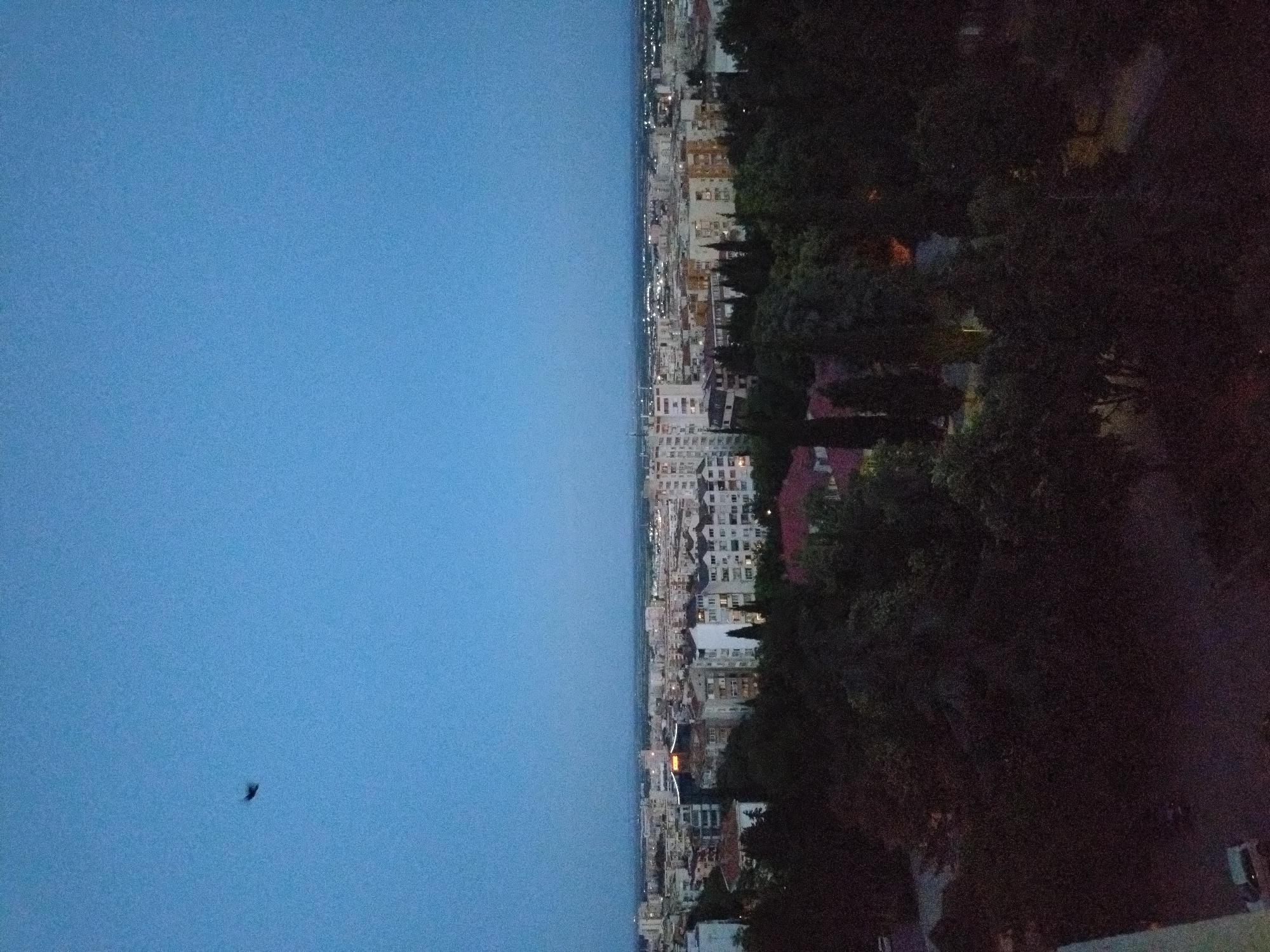 The image shows a panoramic view of the city of Stara Zagora, Bulgaria, during twilight. The sky is a deep blue, with a single dark bird silhouetted in the upper left quadrant. In the midground, a sprawling cityscape with numerous buildings of varying heights and architectural styles stretches towards the horizon. Many buildings are illuminated from within, indicating interior lights. The foreground is dominated by dense, dark foliage, likely trees, obscuring much of the ground-level detail. The overall impression is of a city at dusk, with the transition from day to night evident in the lighting conditions.