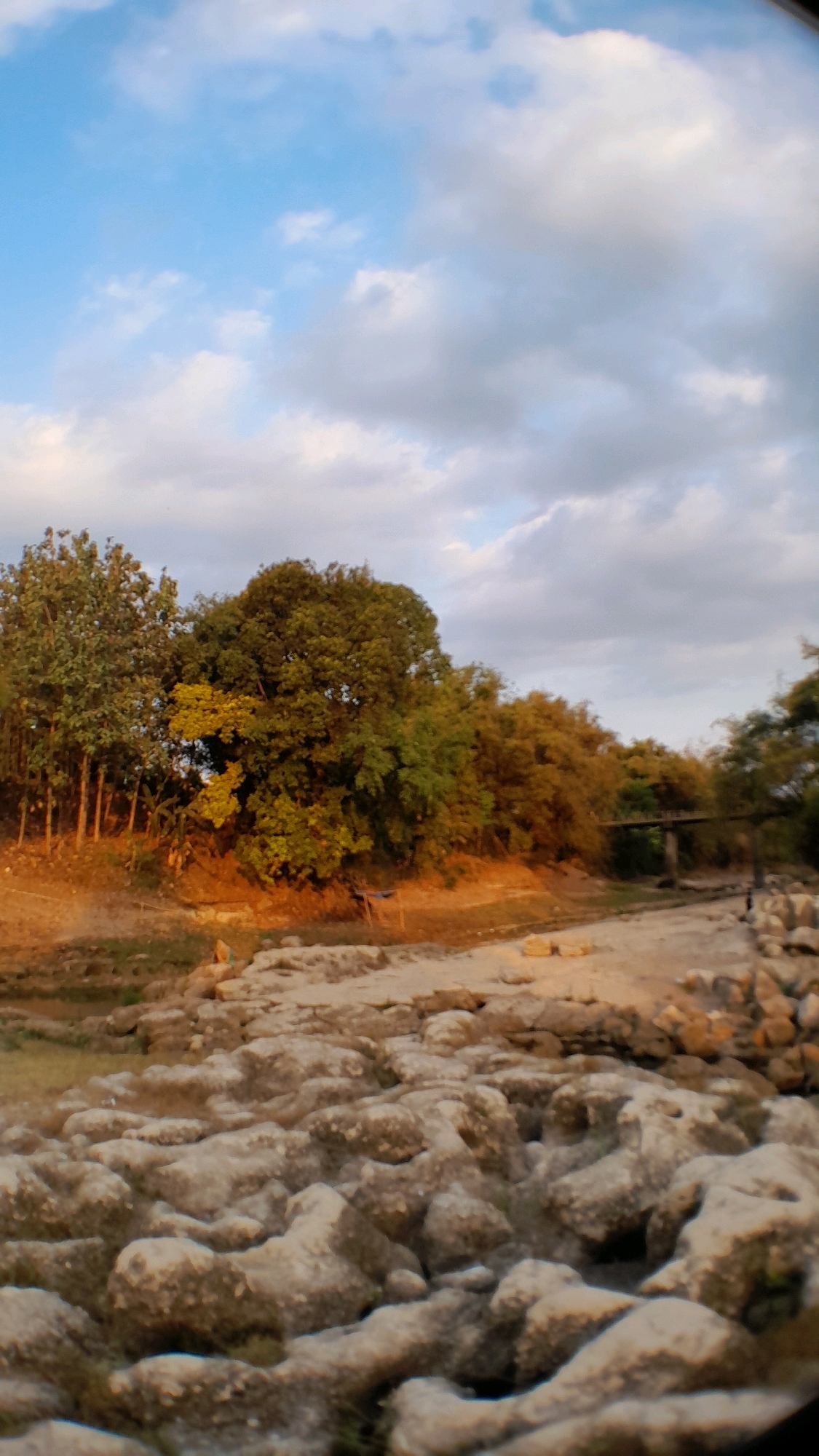 The image depicts a natural landscape with a clear sky featuring scattered clouds. In the foreground, a riverbed is visible, characterized by numerous large, light-colored rocks. The middle ground shows a dry riverbank with some vegetation and a small wooden structure. Further back, a line of trees with dense foliage is present, illuminated by warm, likely late-afternoon, sunlight. A narrow bridge crosses a section of the river in the background. The overall environment suggests a rural or semi-natural setting. This scene is located in Ketuwan, Indonesia. There are no people clearly visible in the image.