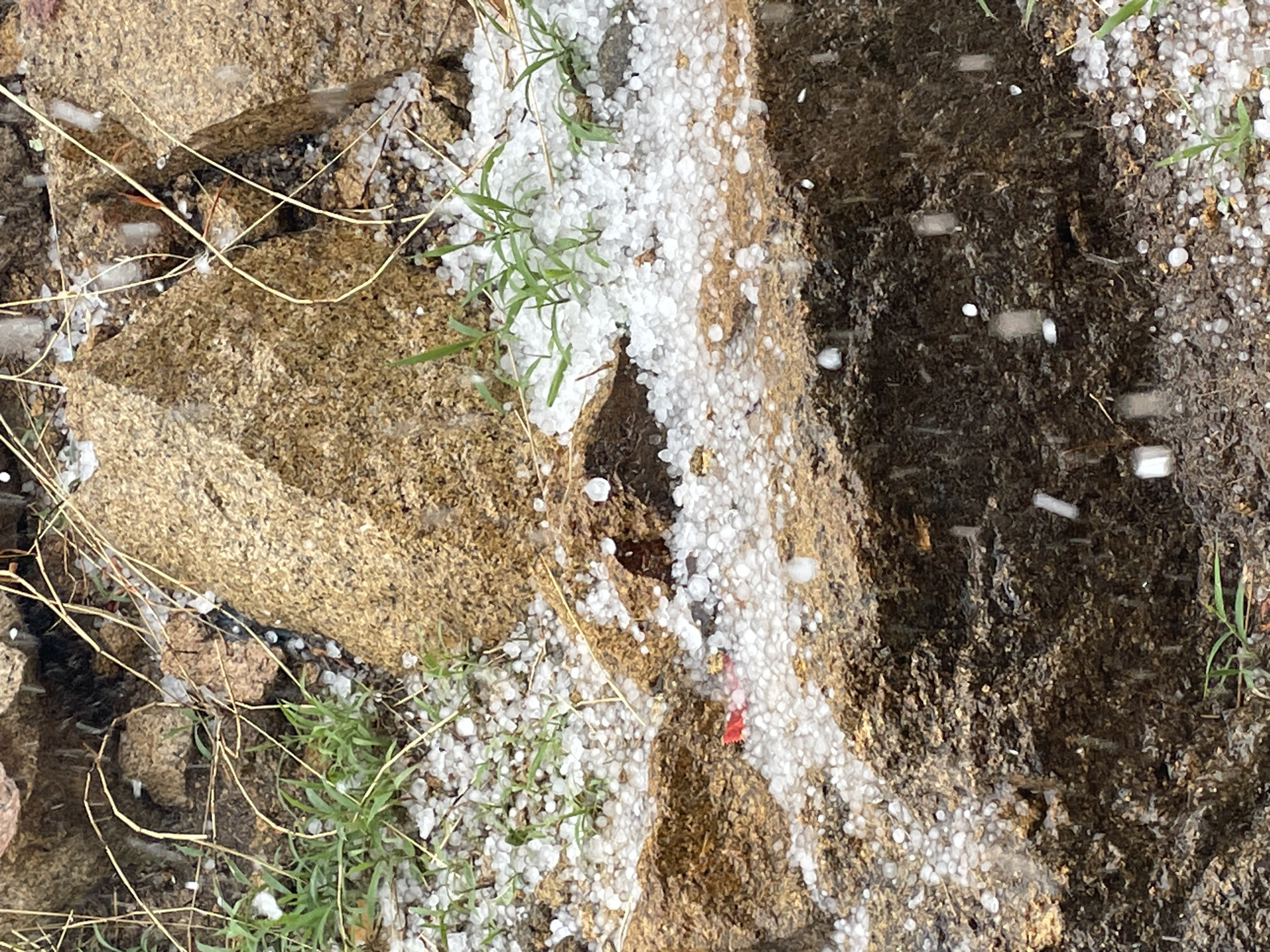 A close-up shot shows ground textures and plant life covered with hail. The ground includes a tan, rocky surface on the left and a dark, muddy surface on the right. Small green plants are scattered across the scene. White hail pellets are concentrated along the dividing line between the two ground types and are also dispersed over the surfaces. The location in Jos, Nigeria is not definitively verifiable from the visual information.