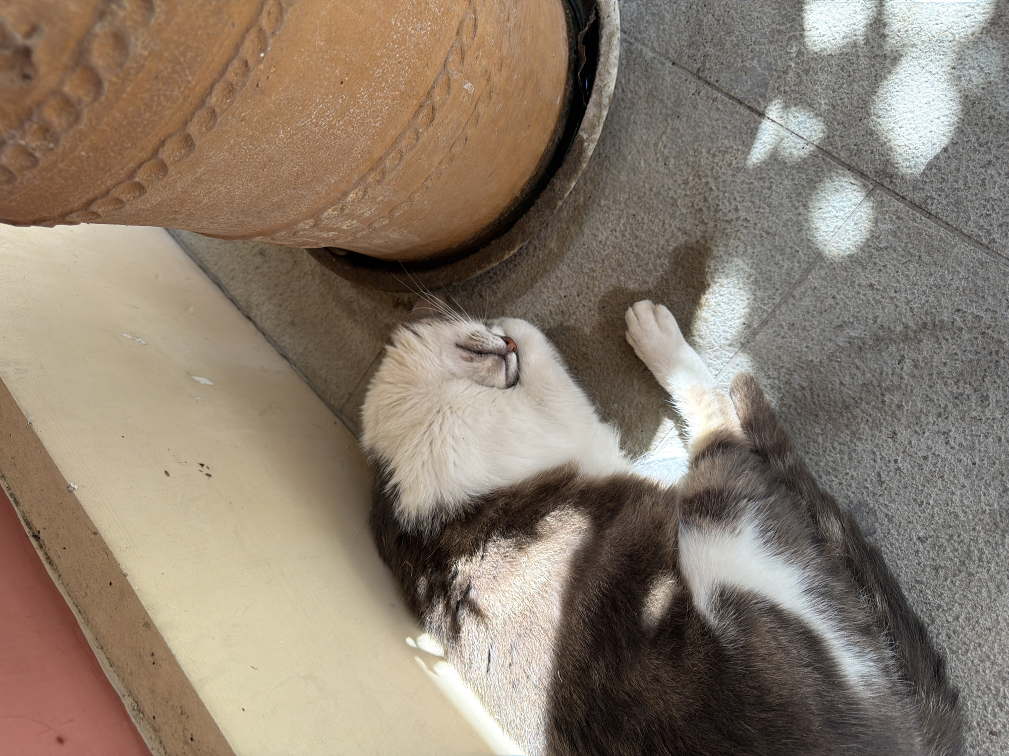 The image presents a serene, sunlit scene featuring a domestic cat relaxing outdoors or in a semi-outdoor setting, likely in Gastouri, Greece. The primary subject is a cat with white and mottled gray-brown fur, lying on its back or side in a very relaxed posture. Its head is tilted back, eyes appear closed in slumber, and its mouth is slightly open, revealing tiny teeth. A white paw is visible near its head.
The cat is resting on a light gray tiled or concrete floor, which is dappled with strong sunlight and distinct shadows, indicating a bright and clear daytime. In the upper part of the frame, a large, light brown terracotta pot with raised decorative patterns is prominently positioned, sitting on a dark base. To the left of the cat and below the pot, there is a plain, light beige-colored wall or ledge. The combination of the terracotta pot, the tiled surface, and the intense sunlight suggests a warm, Mediterranean environment. The cat's peaceful expression and languid pose convey a sense of deep contentment and leisure. There is no visible text in the image.