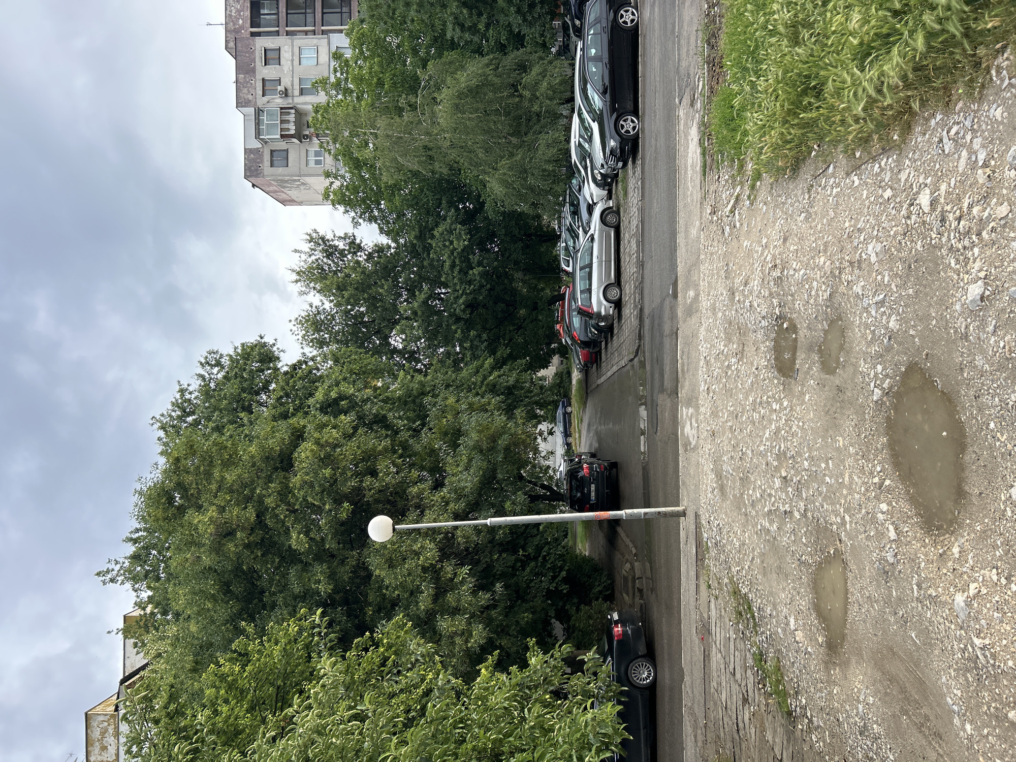 A residential street in Plovdiv, Bulgaria, features a gray, overcast sky and several multi-story apartment buildings. In the foreground, a patch of unpaved ground is littered with gravel and has several puddles of water. A street lamp stands on a paved area to the left, next to a row of parked cars. Further back, a dense line of trees separates the street from the apartment buildings. The scene captures a typical urban landscape with a mix of concrete structures, natural elements, and parked vehicles.