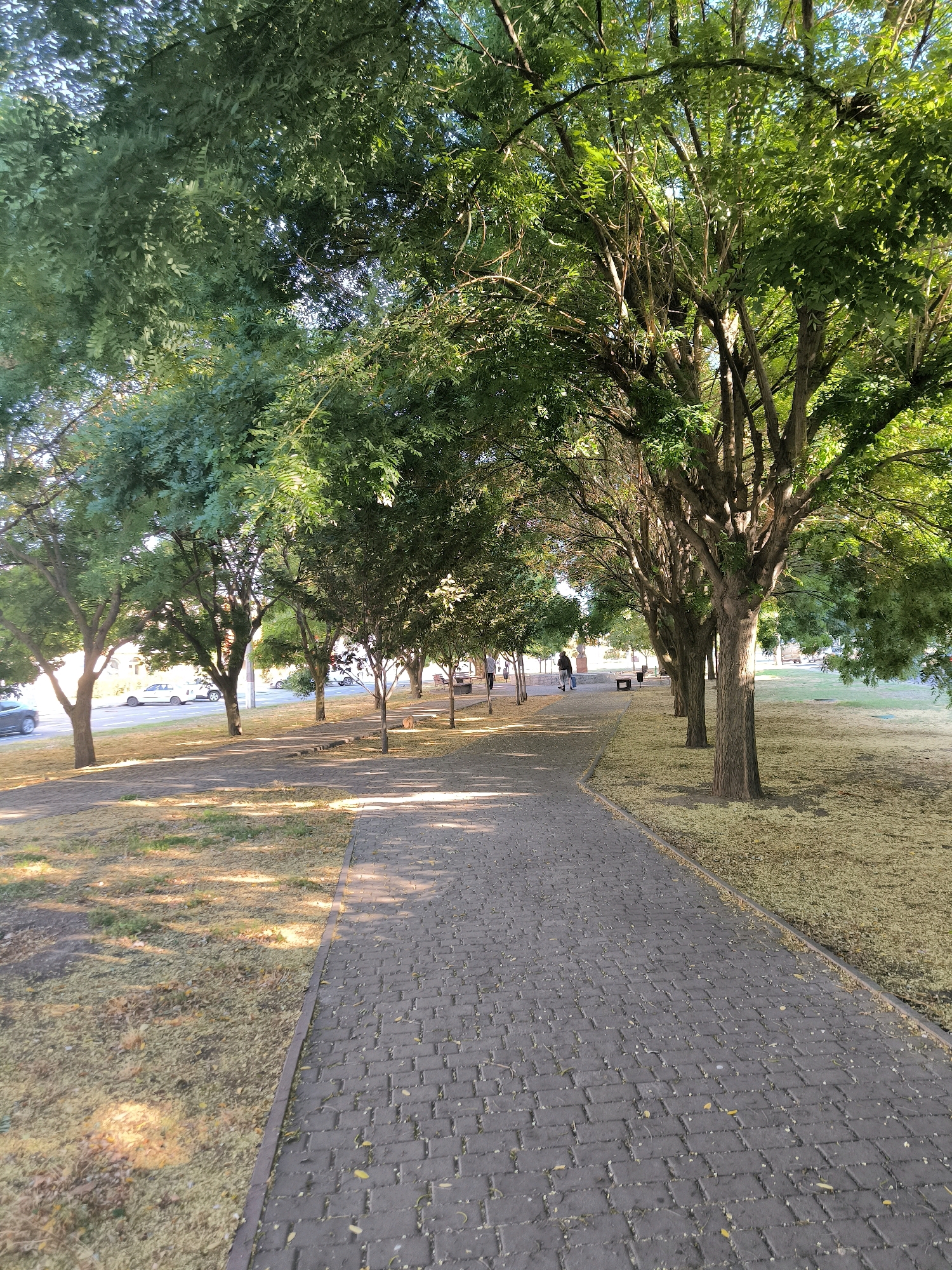 The image depicts a tree-lined pedestrian walkway alongside a street in Mykolaiv, Ukraine. The walkway is paved with dark gray rectangular bricks, and the adjacent grassy area is covered with fallen yellow leaves. Several trees with dense green foliage line the walkway, casting shadows on the path. A few cars are visible on the street, which appears to be a road with moderate traffic. Two individuals are walking along the path in the distance. Benches are present along the side of the walkway. The scene suggests a public park or a tree-lined avenue within the city.
