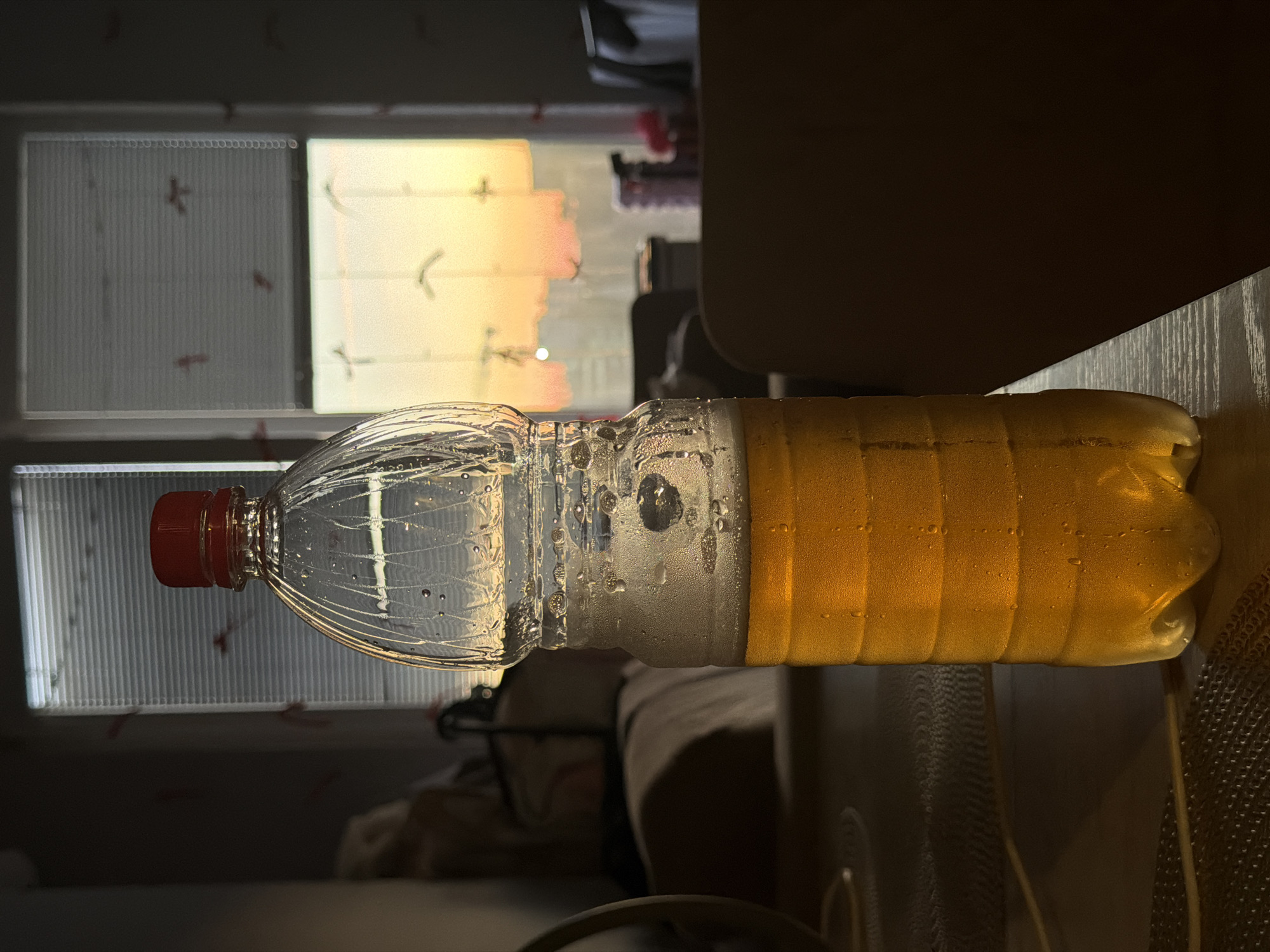 A transparent plastic bottle filled with a golden-hued liquid, likely beer, stands upright on a dark-patterned surface, possibly a table. The bottle's upper half is mostly empty, showing condensation droplets and some foam near the top. The lower half is filled with the liquid, with a distinct foamy head. Behind the bottle, a window is visible, partially covered by blinds. Through the window, a sunset casts a warm orange and yellow glow, illuminating the scene. The background is dimly lit, with furniture and objects suggesting an indoor setting. The lighting emphasizes the condensation on the bottle and the color of the liquid. There are no people or animals present in the image. The image does not provide any information about the city of Sirius, Russia.