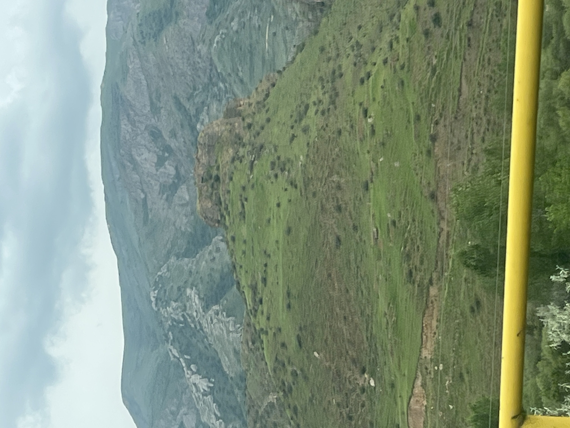 The image presents a vast mountainous landscape under an overcast sky. The sky, a soft light gray with diffused cloud cover, occupies the left portion of the frame.
The central and right areas of the image are dominated by a series of steep hills and mountains. In the midground, a prominent, verdant green slope is visible, covered in lush grass and dotted with scattered darker patches that appear to be shrubs, small trees, or rocky outcrops. This slope shows subtle undulations and possibly faint erosion lines or natural terracing. Behind this, a range of higher, more rugged mountains rises, characterized by exposed gray rock faces and interspersed with patches of green vegetation. The textures on these background mountains are more dramatic and craggy compared to the smoother, grass-covered slopes in front.
On the extreme right edge of the photograph, a bright yellow, vertical pole or beam is partially visible, with some blurred green foliage around its base. This suggests the photo was taken from a vantage point possibly involving man-made infrastructure, such as a roadside barrier, a balcony, or a viewing platform.
No people or specific activities are visible, focusing entirely on the natural scenery. The cloudy conditions suggest an overcast day, rather than bright sunshine. The overall scene evokes a sense of natural grandeur and rugged beauty, typical of mountainous regions like Chiva, Armenia. No text is visible in the image.