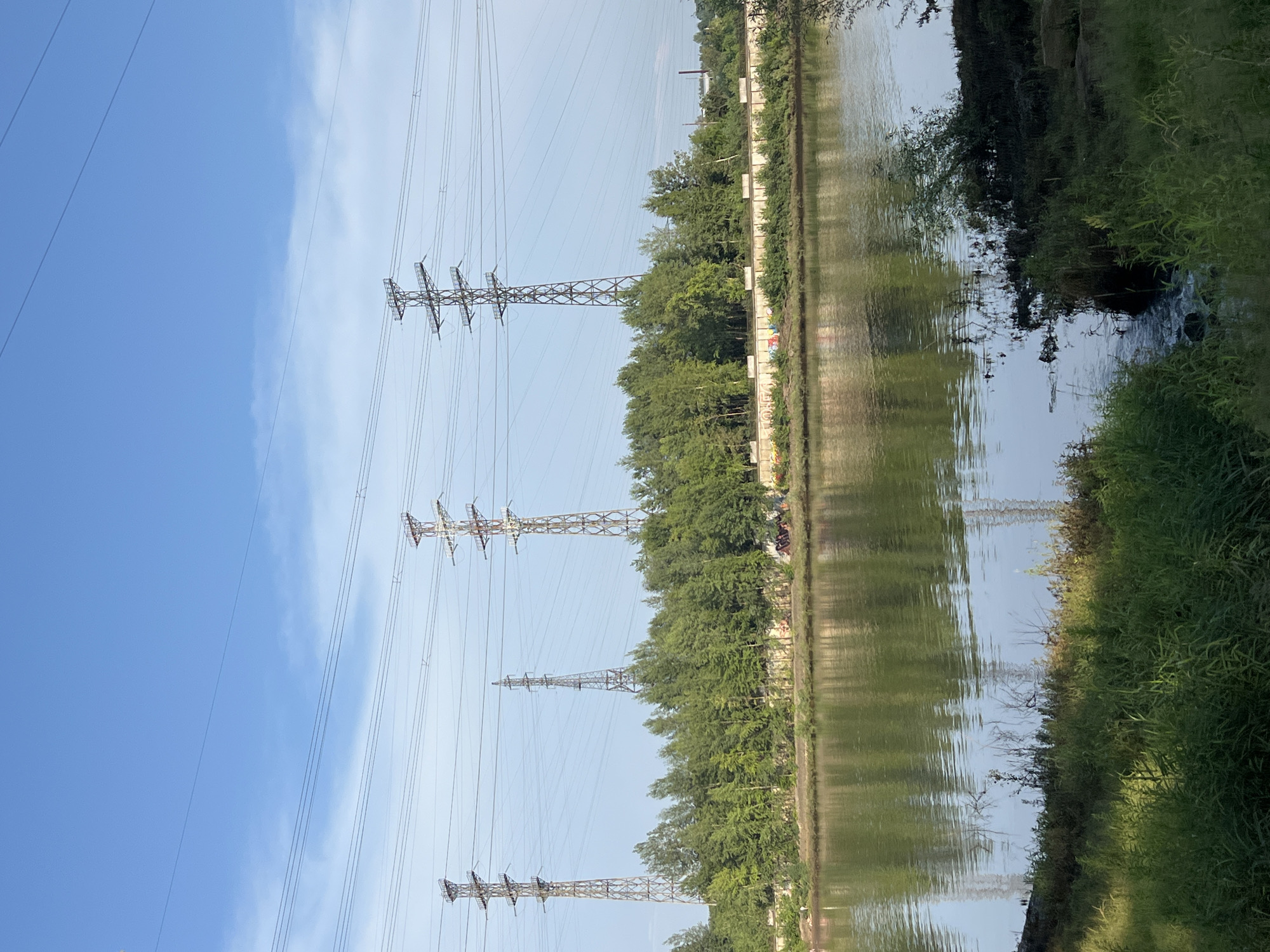 The image depicts a wide, calm body of water, likely a river, flowing through an urban landscape. The water reflects the clear blue sky and a line of lush green trees that form a dense backdrop. Behind the trees, several tall, lattice-style power pylons stand, with numerous electrical wires stretching horizontally across the frame, indicating an industrial or infrastructural element within the city. The foreground features thick green grass and vegetation along the water's edge. In the middle ground, a concrete wall with colorful graffiti separates the trees from the water. A small stream is visible on the right side of the image, feeding into the larger body of water. The overall scene suggests a late afternoon or early morning with soft lighting. The location is identified as Chaikovsky, Russia.