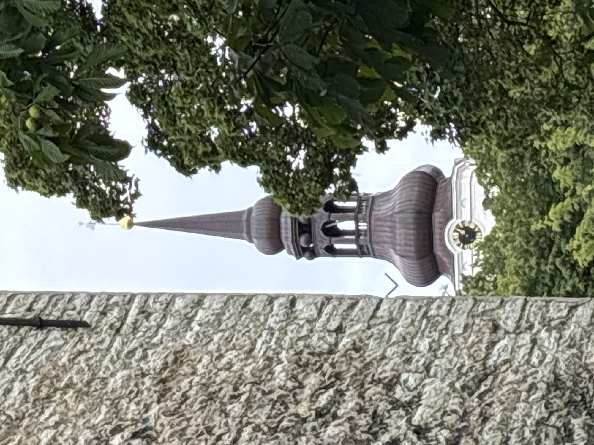 The image shows a close-up view of the St. Olaf's Church (Oleviste kirik) in Tallinn, Estonia, partially obscured by a stone wall on the left and foliage on the right. The church steeple, a prominent feature of the Tallinn Old Town skyline, is visible in the center. The steeple is dark brown with a gold finial at its peak. Below the steeple, a white clock face with Roman numerals is visible. The surrounding area is filled with lush green trees. The sky is overcast.