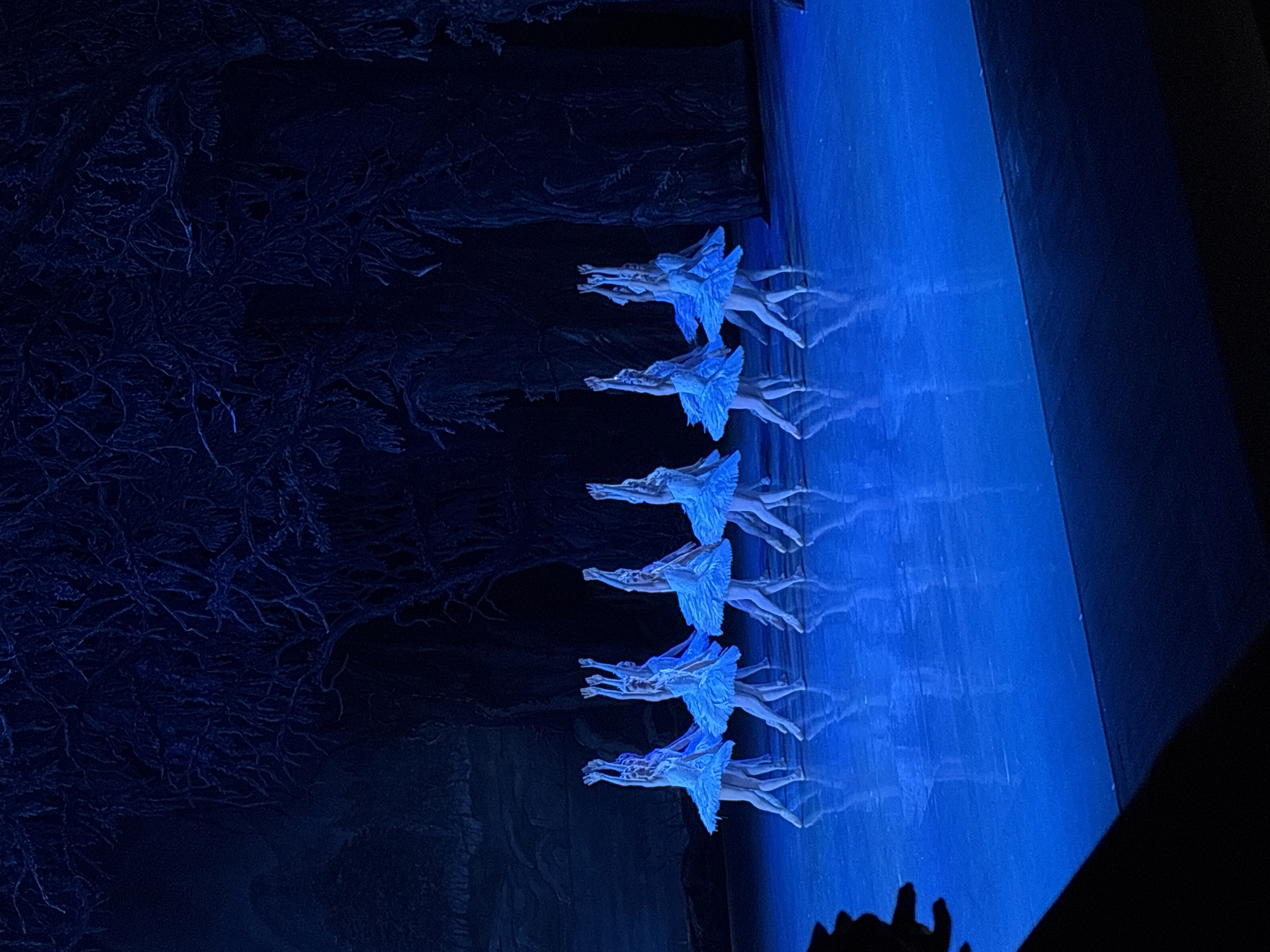 The image captures a scene from a ballet performance, likely "Swan Lake," given the presence of ballerinas in white tutus posed in unison, resembling swans. The backdrop features dark, stylized trees on the left, contrasting with a bright blue wall on the right, possibly a stage element. The lighting emphasizes the ballerinas, creating a ghostly effect due to motion blur. The photograph appears to have been taken from the audience, slightly off-center. A silhouette of a person's head can be seen in the bottom right corner, suggesting the photographer's proximity to other audience members. The location is likely a theater in Tbilisi, Georgia, but there is no explicit visual evidence of this. The scene depicts the swan maidens onstage.