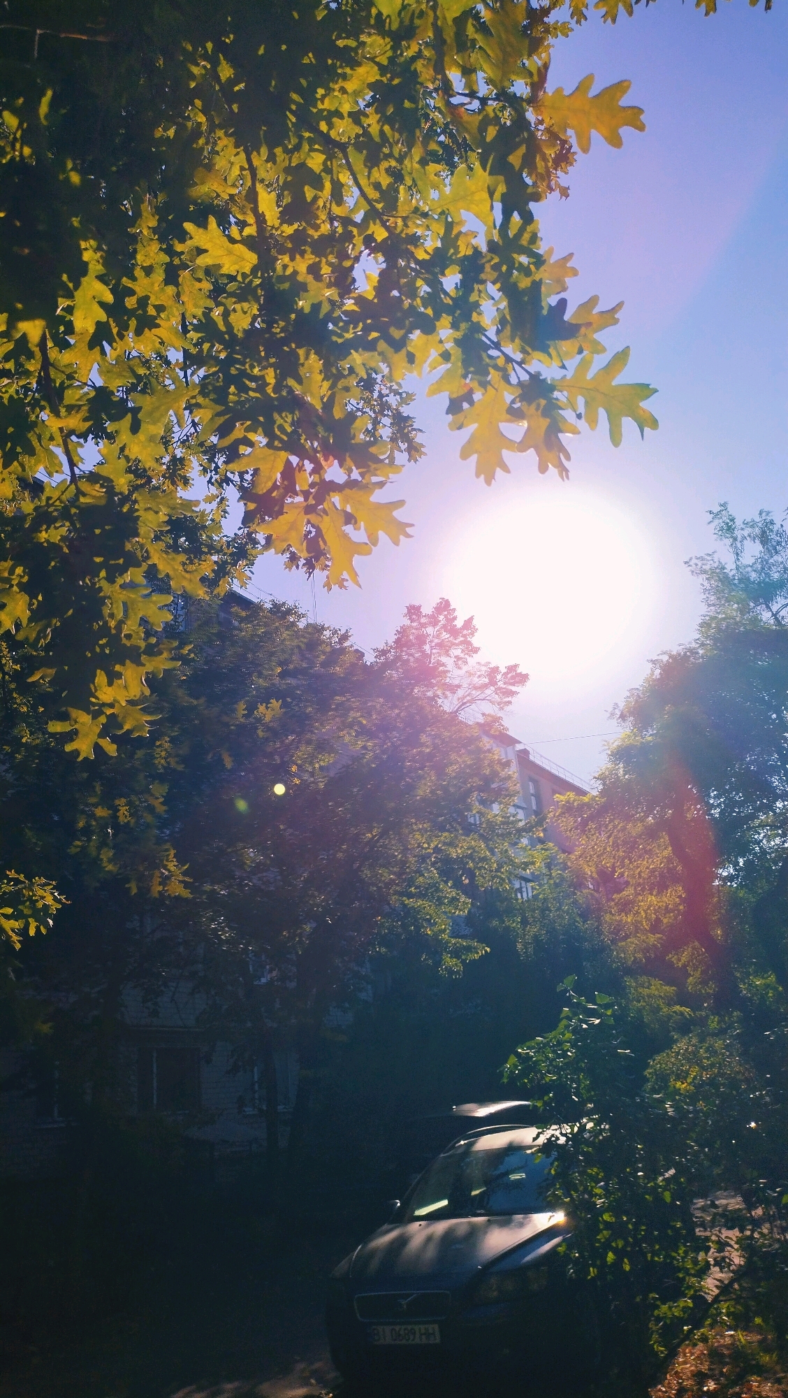 The image depicts a bright, sunlit scene with lush green foliage and a clear blue sky. The sun is a prominent feature, casting a warm glow and creating lens flare effects. A car is visible in the lower portion of the frame, parked near a building partially obscured by trees. The building appears to be a residential structure. The overall impression is one of a peaceful urban environment bathed in natural light. The location is specified as Horishni Plavni, Ukraine.