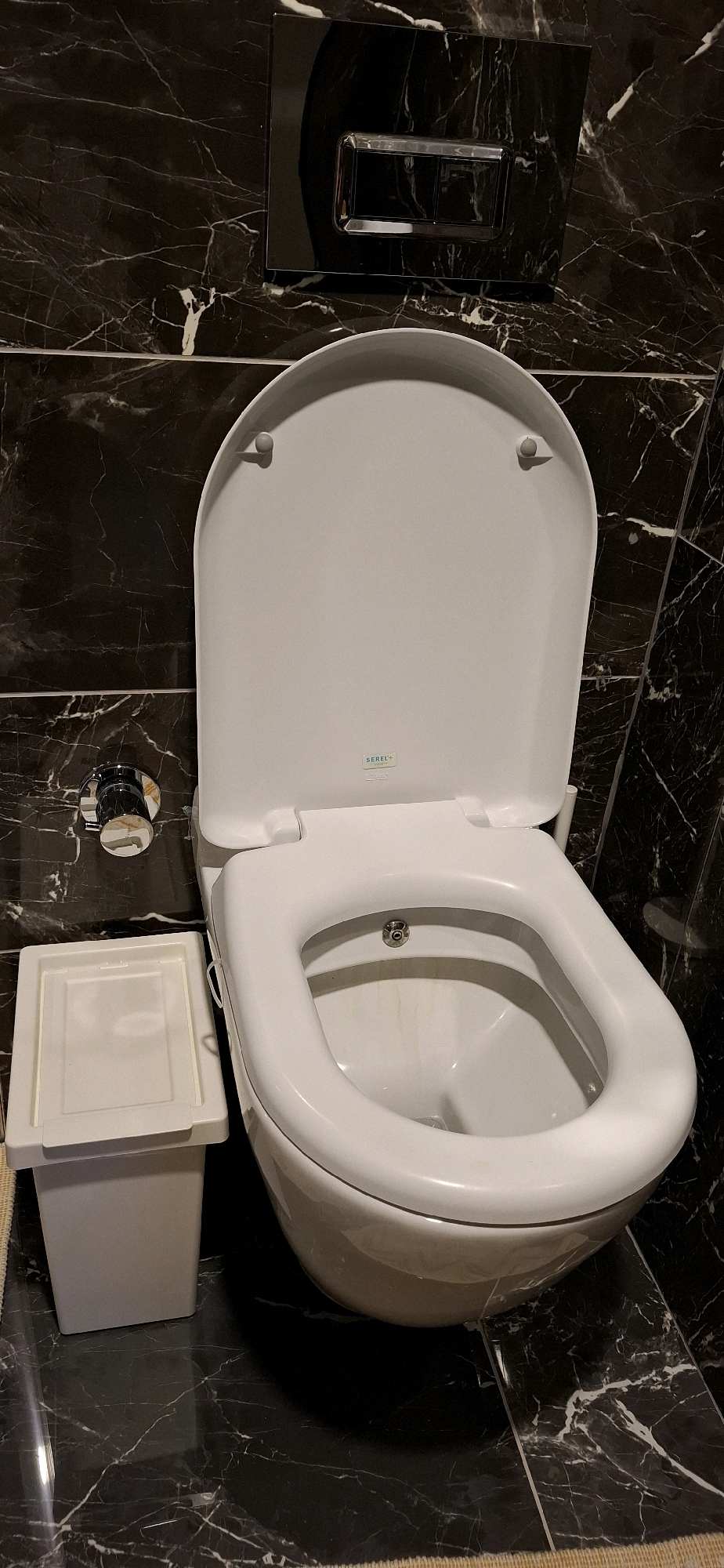 An open, white toilet with a bidet attachment is shown in a bathroom with black marble walls and floor. A small white trash bin is located to the left of the toilet. A chrome flush plate is visible on the wall above the toilet. The scene appears to be a domestic bathroom in Kadıköy, Turkey.