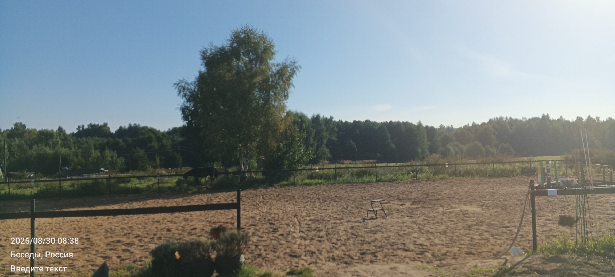 An outdoor shot captures an equestrian arena on a clear day. The foreground is dominated by a sandy ground with a dark fence running horizontally across the middle. In the distance, a dense line of trees forms the backdrop, with a tall birch tree standing out on the left. A small, dark structure is visible behind the fence, and further right, there are horse jumps and poles. The sky is a bright, clear blue. Text overlays indicate the date "2026/08/30 08:38" and location "Беседы, Россия" (Besedy, Russia), along with "Введите текст" (Enter text).