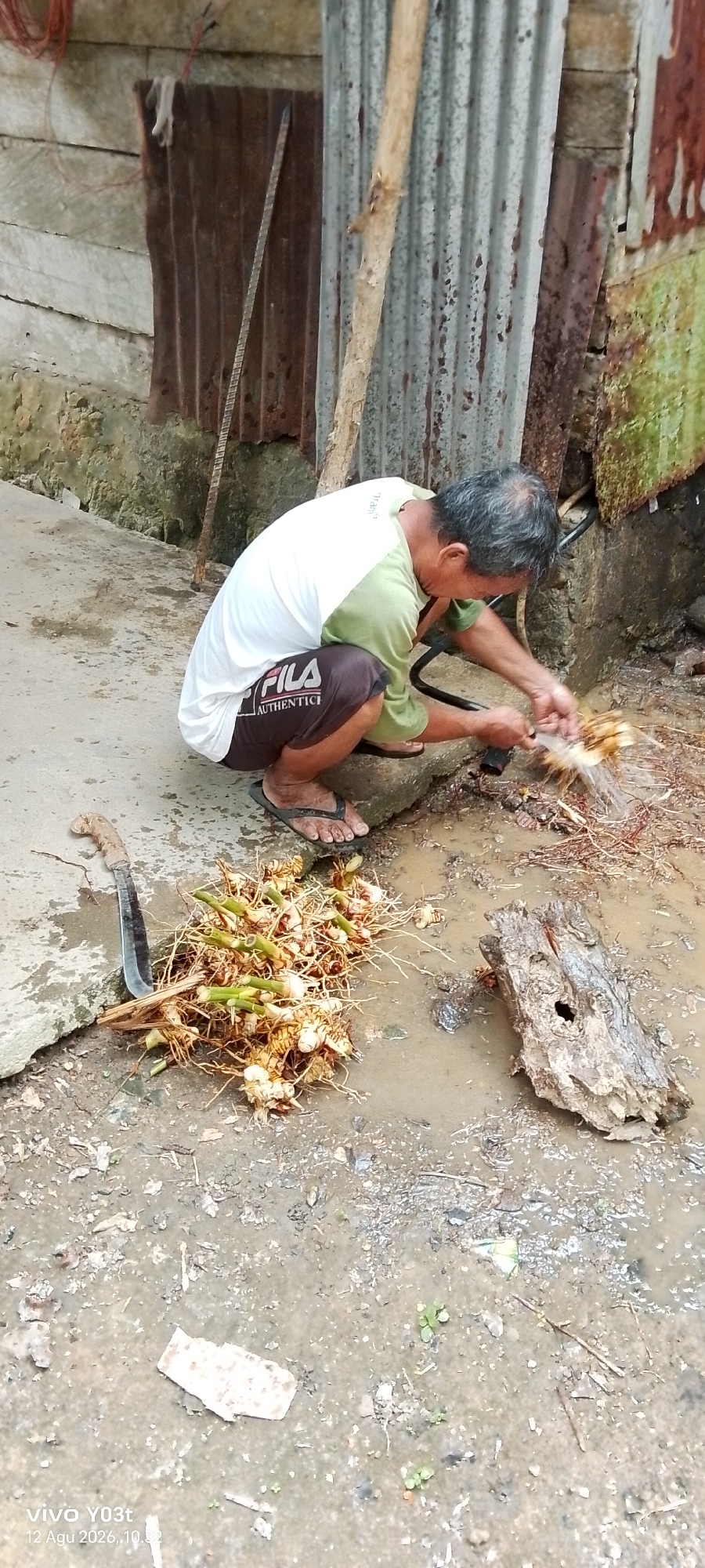 An Indonesian man is crouching on a concrete surface next to a pile of galangal roots and a machete in Woiha, Indonesia. The man is wearing a white t-shirt with a green collar and brown shorts. He is holding a hose and washing the galangal roots. The roots are a light brown color with green stems. The machete is dark and has a wooden handle. The ground is wet and muddy, with some debris scattered around. In the background, there is a corrugated metal wall.