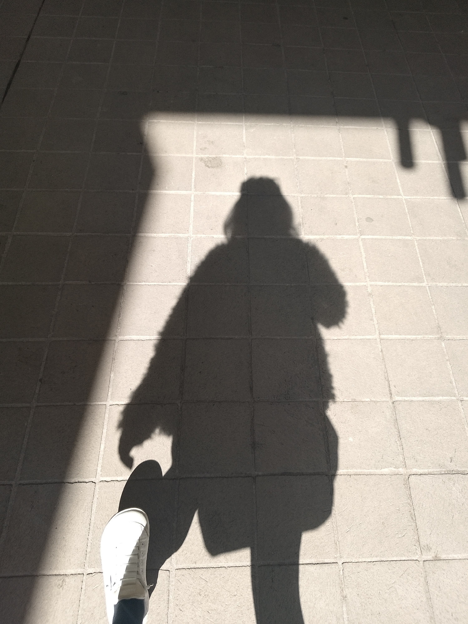 The image depicts a shadow cast on a tiled surface, presumably a sidewalk or patio. The shadow appears to be that of a person wearing a coat or jacket and a sneaker or shoe. Overhanging architectural elements create additional shadow patterns. The location is unknown.