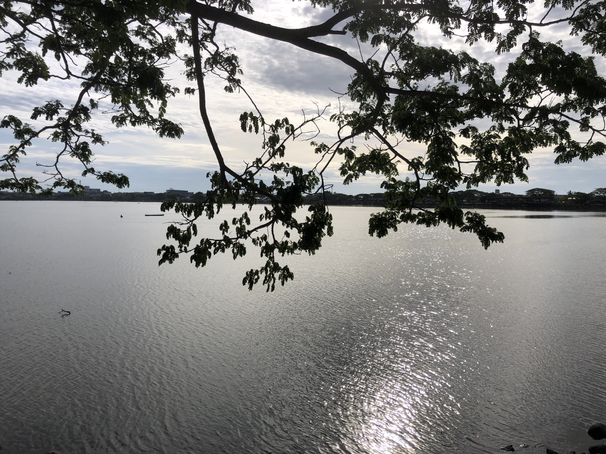 The image shows a body of water, likely a lake or river, with trees and foliage framing the top of the scene. The water surface reflects sunlight, creating a sparkling effect. In the background, a city skyline is visible, suggesting a location in or near an urban area.
Given the prompt, it's located in Lhokseumawe, Indonesia. Specific details such as the precise type of trees, buildings, or bodies of water are difficult to determine without closer inspection or additional information.
