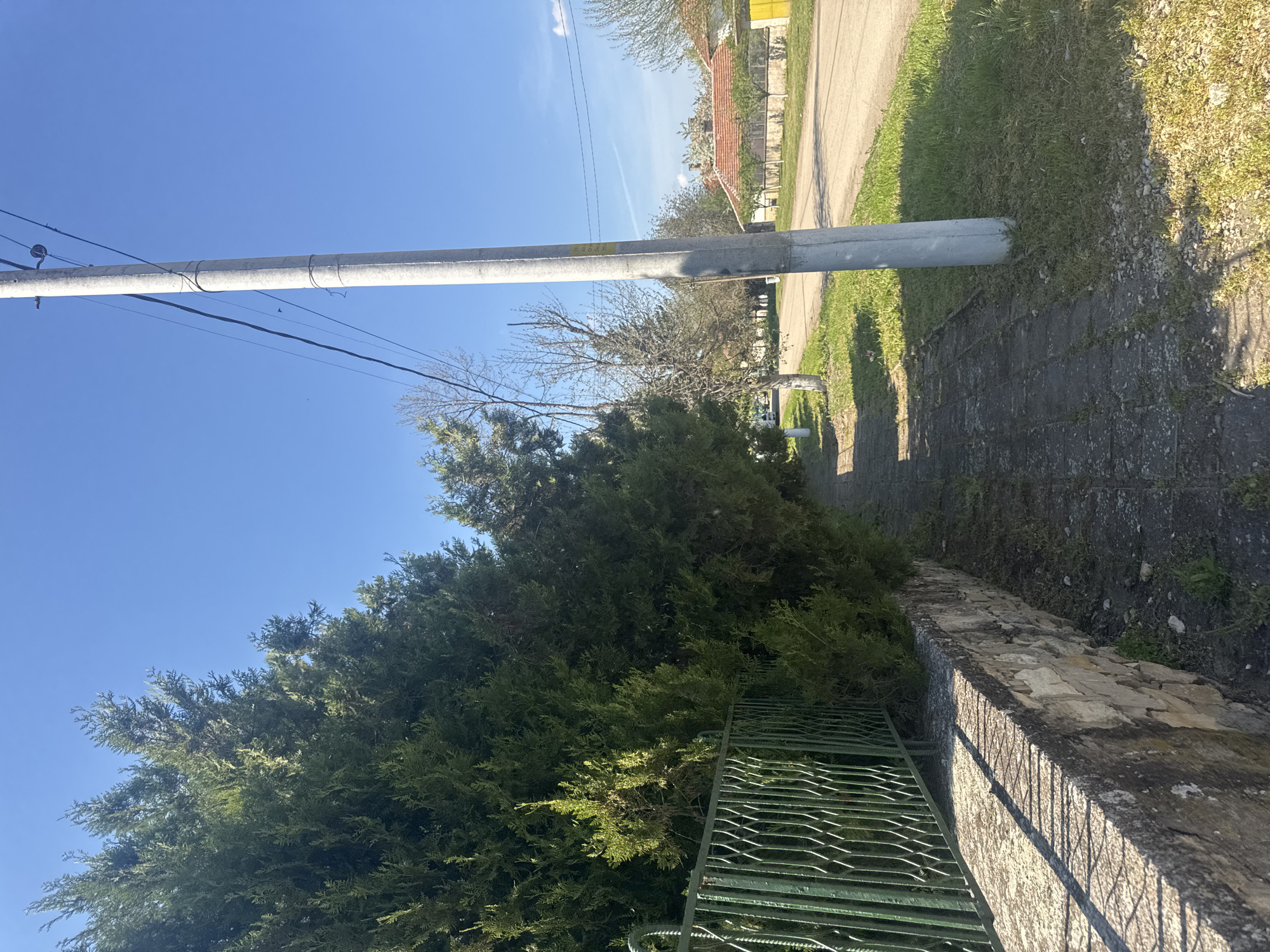 The image depicts a street scene in the village of Lehchevo, Bulgaria. A concrete or metal utility pole runs horizontally across the top of the frame, intersecting the sky. Power lines are strung along the pole. Below, a dense evergreen hedge grows along a stone wall topped with a green metal fence. A paved walkway runs along the hedge and wall, adjacent to a grassy verge that leads to a street. Buildings with tiled roofs can be seen in the background. The sky is blue and clear.
