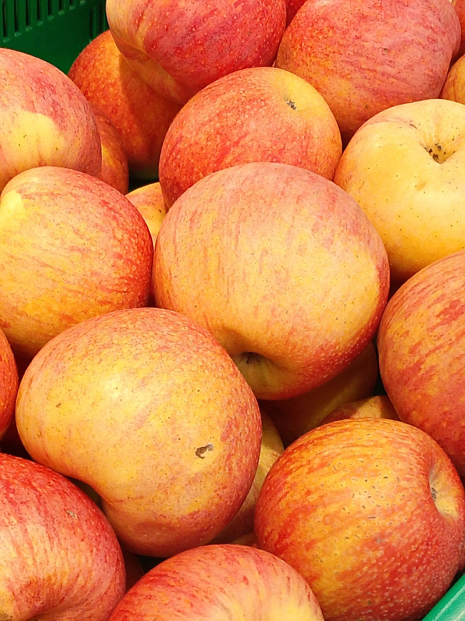The image shows a close-up view of a pile of apples. The apples are mostly round, with a mix of red and yellow coloration. Some have small blemishes or imperfections on their skin. The apples are densely packed together, filling the frame. The background suggests the apples are in a container. There is no indication of location and there is no people in the image.
