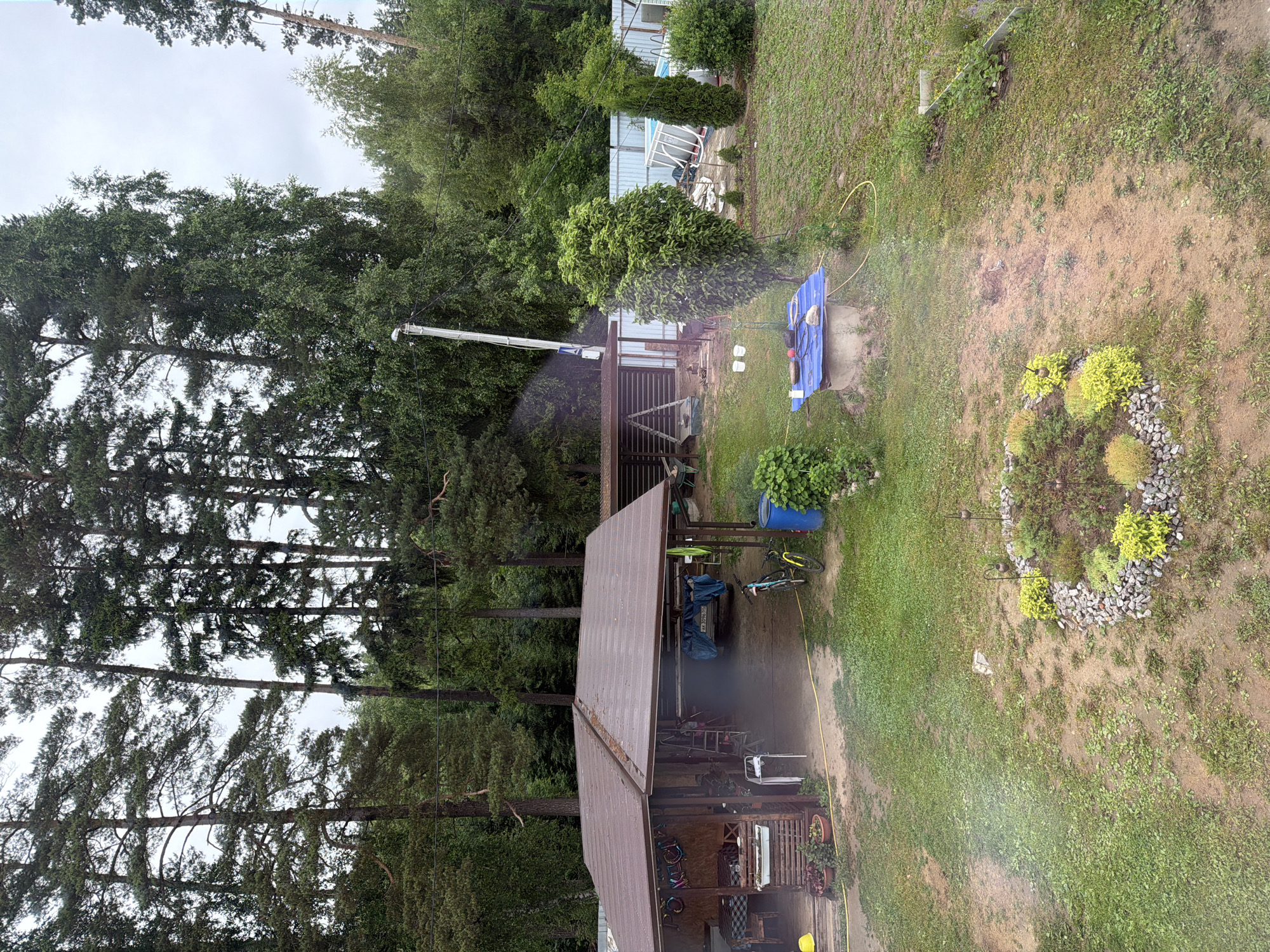 The image shows a residential backyard with a covered patio, a swimming pool, and a garden area. The patio is equipped with a table and chairs, and there are several potted plants around it. The swimming pool is above ground and surrounded by a fence. The garden area features a variety of plants and rocks. In the background, there are tall trees and a cloudy sky. There are no people visible in the image. The ground appears to be wet, suggesting recent rain or watering. A yellow hose is visible running across the yard.