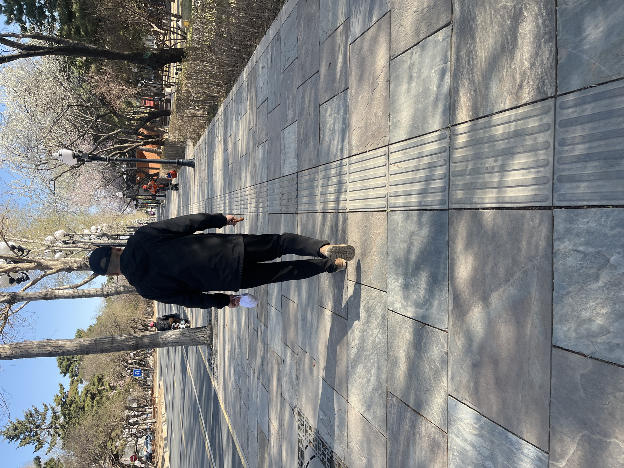 A man walks on a wide, paved sidewalk in Changchun City, China. The sidewalk is made of large, rectangular gray stone slabs with a strip of textured tiles designed for visually impaired pedestrians. The man is wearing a black jacket, black pants, and tan shoes. He is also wearing a black baseball cap and carrying a white hat in his left hand. Trees line the sidewalk, some with blossoms visible. Streetlights are spaced along the sidewalk. A street with vehicles and a sidewalk runs parallel to the sidewalk, lined with trees. The sky is blue and clear.