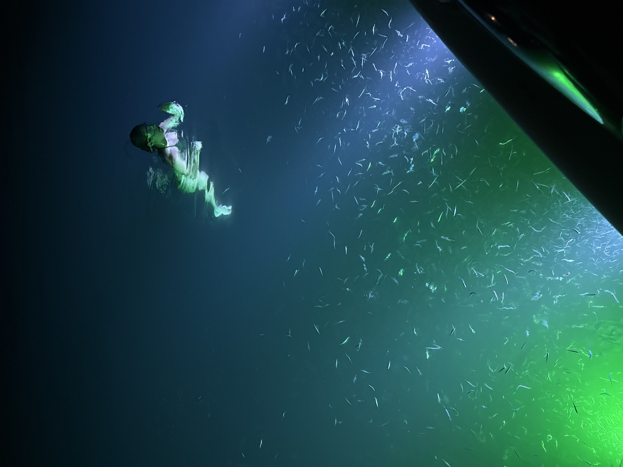 A submerged figure is swimming in dark water, illuminated by greenish light. The figure is near a large dark object, possibly a boat, that occupies the upper right corner of the image. A school of small fish is visible in the illuminated water near the object. The location is Unknown, Mexico.