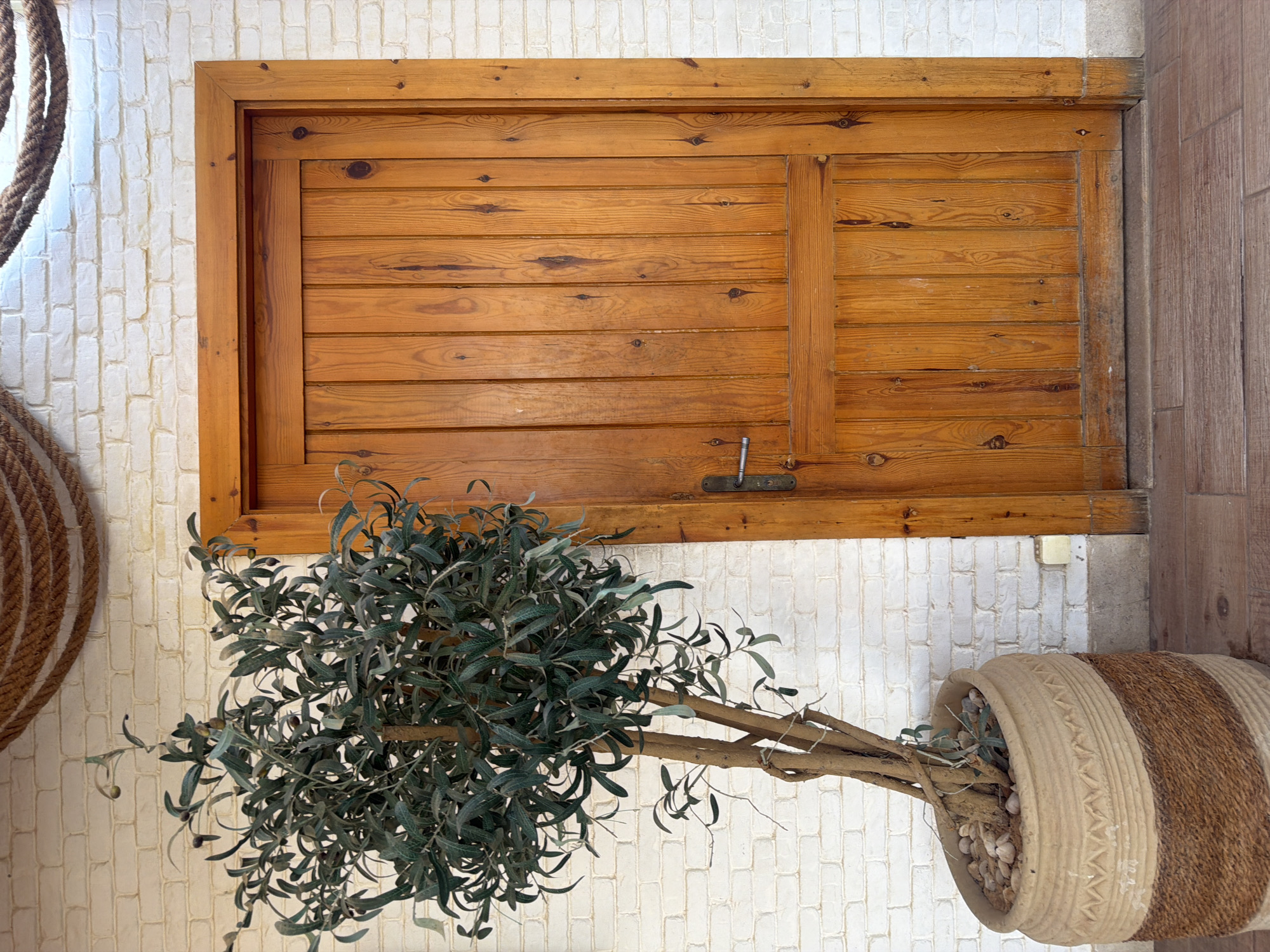 An olive tree in a decorative pot stands to the left of a weathered wooden door, set against a white brick wall. The pot is cylindrical with a textured band around its circumference, transitioning from a light tan at the top to a darker brown weave at the bottom. The olive tree is full and leafy, with dark green foliage and small olives visible. The door is made of vertical wooden planks and has a simple metal handle. The background is a white brick wall, partially obscured by the tree and the door. Above the wall, a thick rope with a nautical theme is visible. The floor in front of the door is made of wooden planks. The scene appears to be located outdoors.