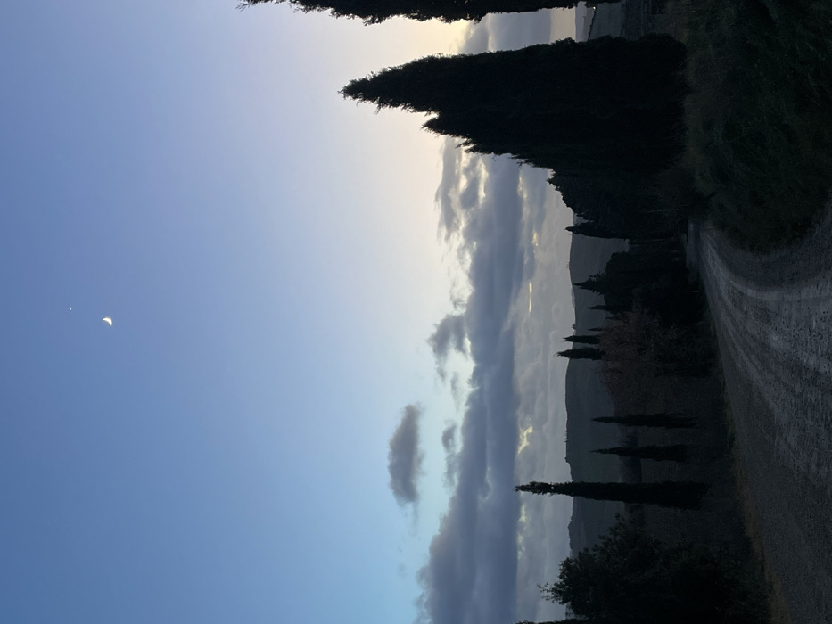 This vertically oriented landscape photograph, when viewed horizontally, depicts a serene rural scene at twilight. The sky dominates the upper portion of the image, showcasing a gradient from a lighter, soft yellowish-white near the horizon to a clear, deep blue overhead. In the upper left quadrant, a delicate crescent moon is visible, accompanied by a single bright star or planet, both starkly contrasting against the blue sky.
A horizontal band of clouds stretches across the middle of the sky. These clouds vary in density and illumination, with some appearing wispy and faintly lit, while others are darker and more voluminous, catching hints of the low-angled sunlight from behind.
On the right side of the image, a winding dirt or gravel road recedes into the distance, guiding the viewer's eye towards the horizon. The foreground and midground on this side are characterized by tall, dark silhouettes of slender trees, strongly resembling cypress trees, which are a characteristic feature of the Tuscan landscape. These trees line the roadside and are dotted across the rolling hills that form the background, appearing as muted, dark shapes against the softer light of the distant horizon. The overall lighting suggests either dawn or dusk, creating a peaceful and contemplative atmosphere.
The distinctive presence of cypress trees and rolling hills, combined with the quality of light, strongly cues the location to be the picturesque countryside around Montalcino, Italy. There are no people visible, and no discernible text appears in the image.
