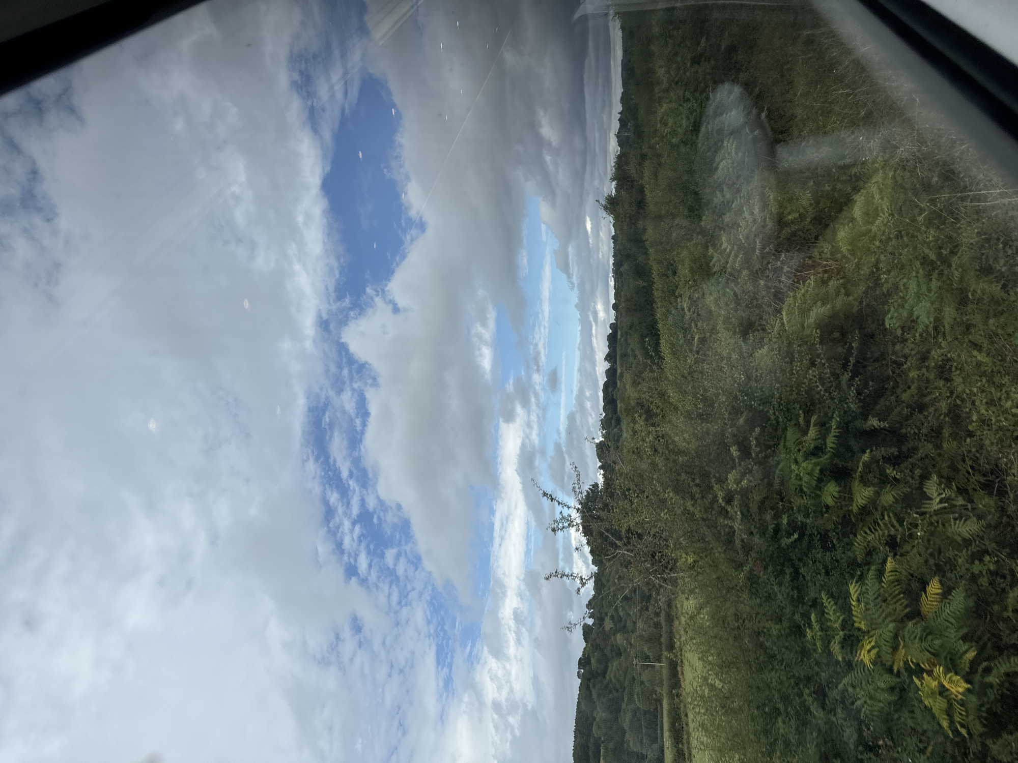 The image shows a cloudy sky with patches of blue over a landscape of rolling hills and dense green foliage, including ferns and trees. The perspective suggests the photo was taken from inside a vehicle, possibly a train, looking out through a window, as indicated by reflections on the glass. The scene is devoid of any human presence or activity. The natural environment is the sole focus, with vegetation dominating the lower half of the frame and the sky occupying the upper half. The location is identified as Buckstown, Ireland, though no specific landmarks or urban features are visible to confirm this.