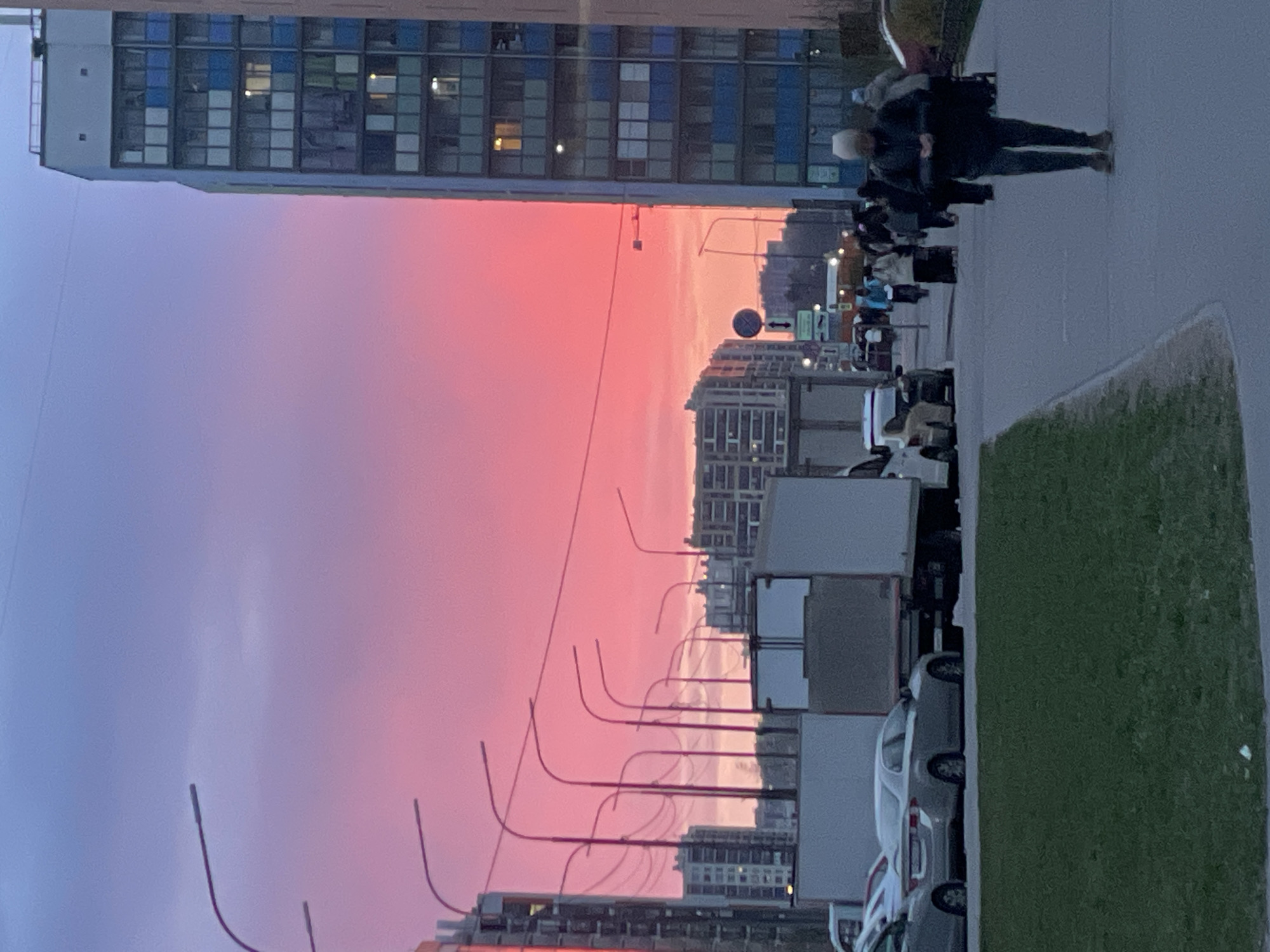 The image captures an urban street scene during sunset or dusk in Murino, Russia. The most striking feature is the sky, which displays a vibrant gradient of colors, transitioning from a soft purple or lavender on the left to a brilliant, vivid pink and red on the right, indicative of a dramatic sunset.
On the left side of the frame, a large, modern multi-story building with numerous rectangular windows dominates the vertical space, some windows showing interior lights. Extending across the middle ground is a street lined with a series of distinctive, dark, curved streetlights, silhouetted against the colorful sky. Below the streetlights, several vehicles, including cars and possibly trucks, are parked along the curb. Further down the street, other residential or commercial buildings are visible, appearing as darker silhouettes. A circular street sign with directional arrows is also present in this area.
On the right side of the image, a paved sidewalk runs parallel to the street, bordered by a strip of green grass. Several pedestrians are visible walking along this path. One individual in a dark jacket and what appears to be light-colored headwear is more prominent in the foreground. The overall lighting suggests the transition from late afternoon to evening, with natural light from the sunset mixing with the emerging artificial lights from buildings and potentially streetlights. No clear, legible text is visible on any signs or objects.