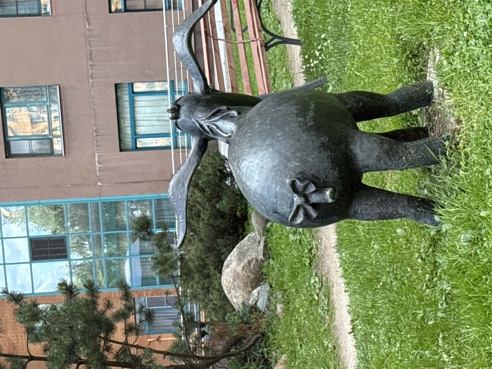 The image shows a statue of a rabbit from behind, with its hindquarters prominently displayed. The statue is dark in color, likely bronze or a similar material, and appears to be placed outdoors in a grassy area. The rabbit's tail is shaped like a four-leaf clover. Behind the statue, a building with large windows can be seen. The windows have blue frames and reflect the surrounding trees and sky. The building's facade is made of brown brick. A pathway, possibly a sidewalk, runs through the grass near the statue. In the foreground, there is a pine tree. The grass is green and appears well-maintained, with some small white flowers scattered throughout. The lighting suggests it is daytime, with overcast or diffused sunlight. The scene is likely a public space, possibly a park or the grounds of a building. There is no visible text in the image. The orientation of the image is sideways.