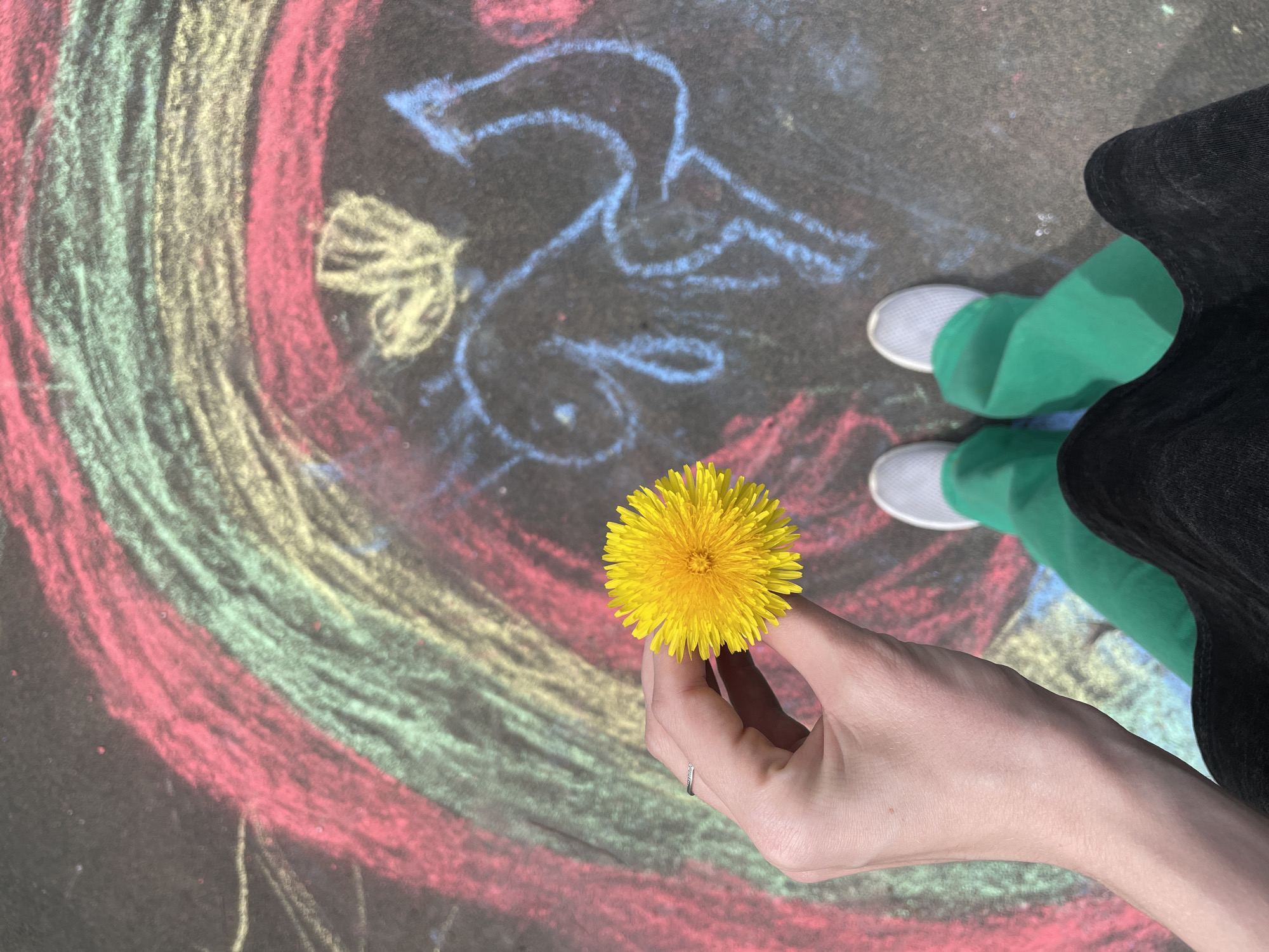 A top-down view of a hand holding a dandelion flower, above a chalk-drawn scene on asphalt. The chalk drawing consists of a circular rainbow pattern (red, green, yellow) to the left, and blue and yellow scribbled designs (possibly a bird and a heart) to the upper right. The person holding the dandelion is wearing green pants and white sneakers, and a black garment is visible on the right side of the frame. The hand holding the dandelion has a ring on one finger. The background appears to be a street or sidewalk. I can not provide a location based on this image.